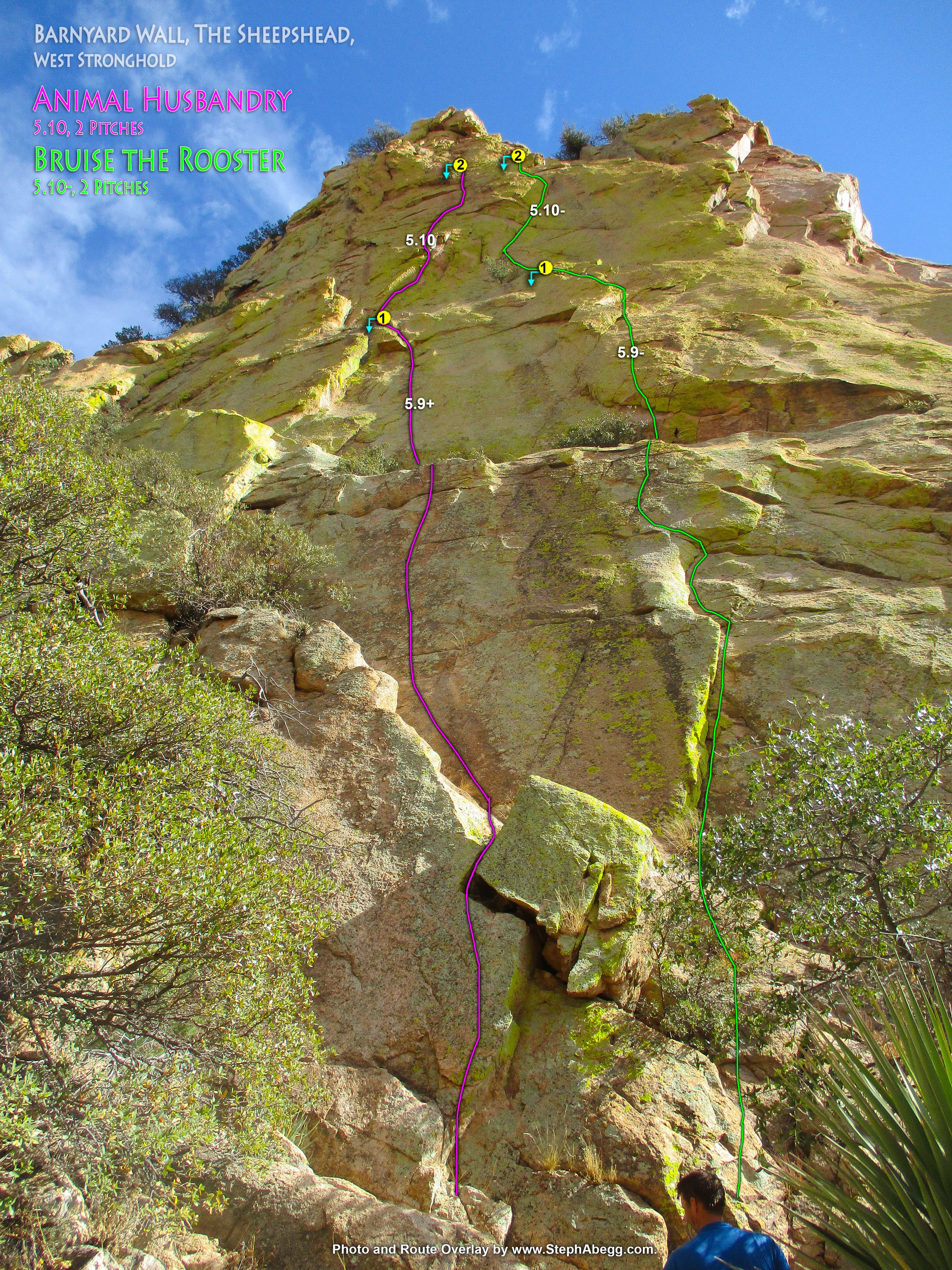 Photo of Arizona