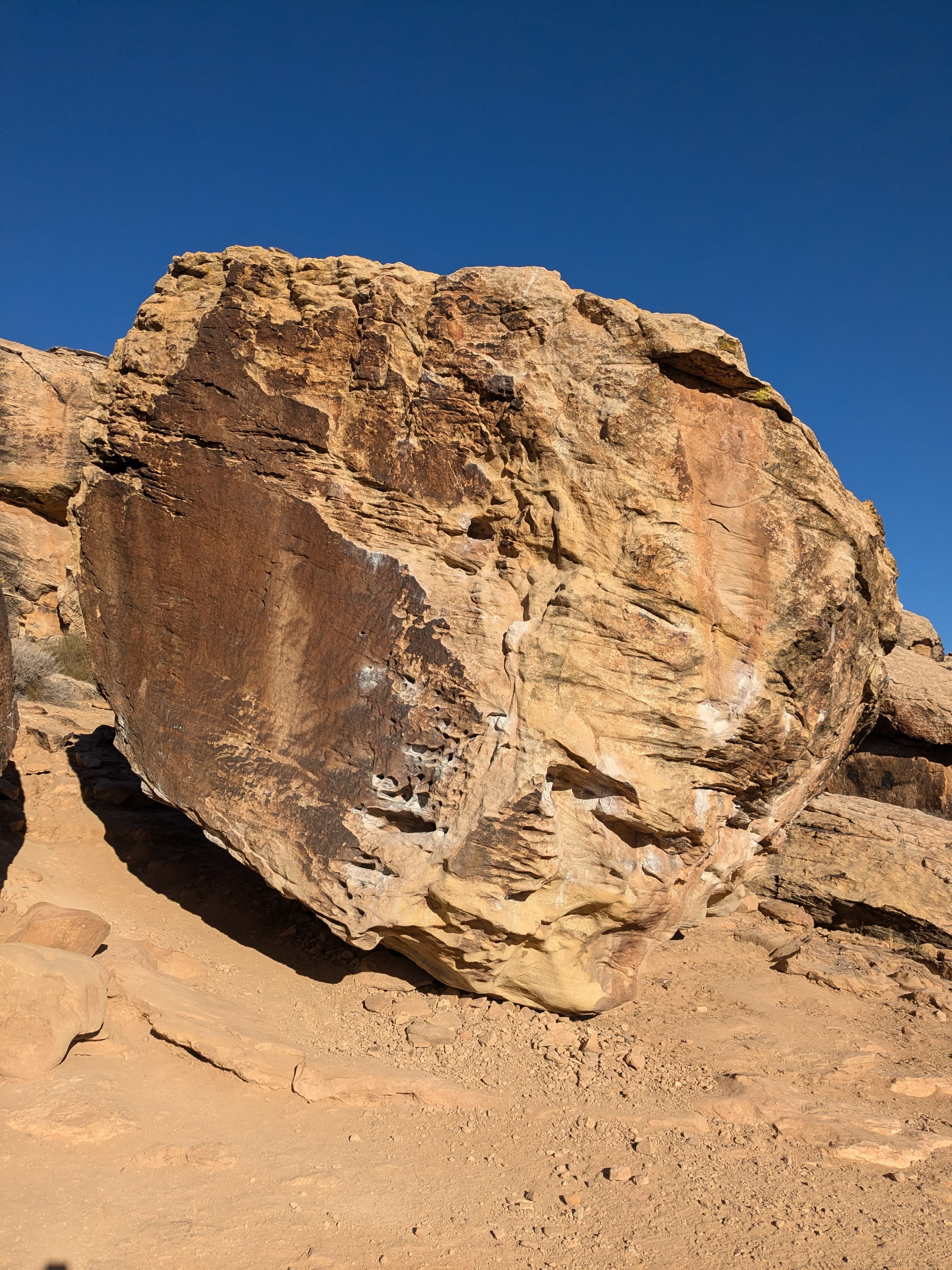 Photo of Sentinel Area