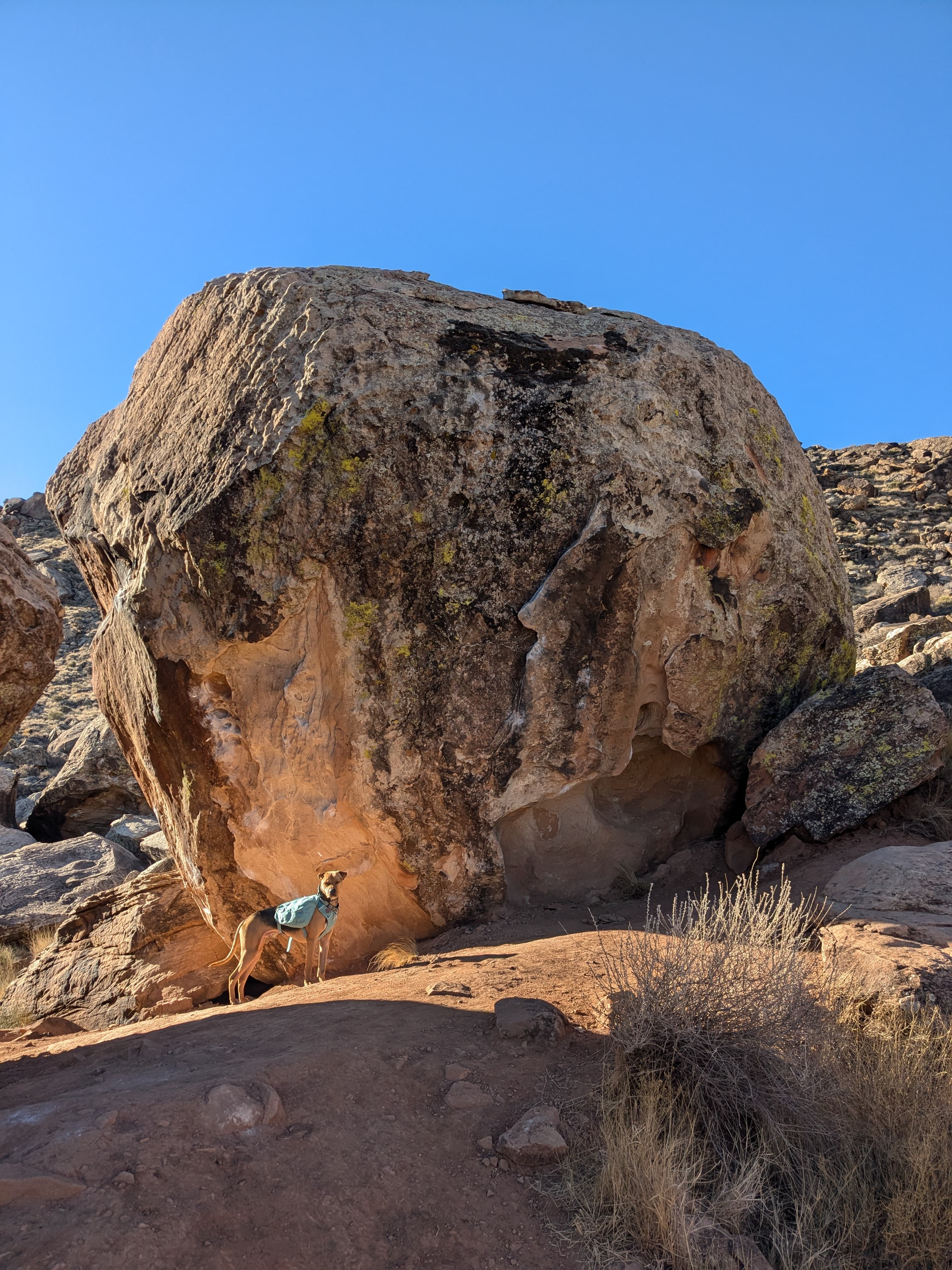 Photo of Monkey Boy Area