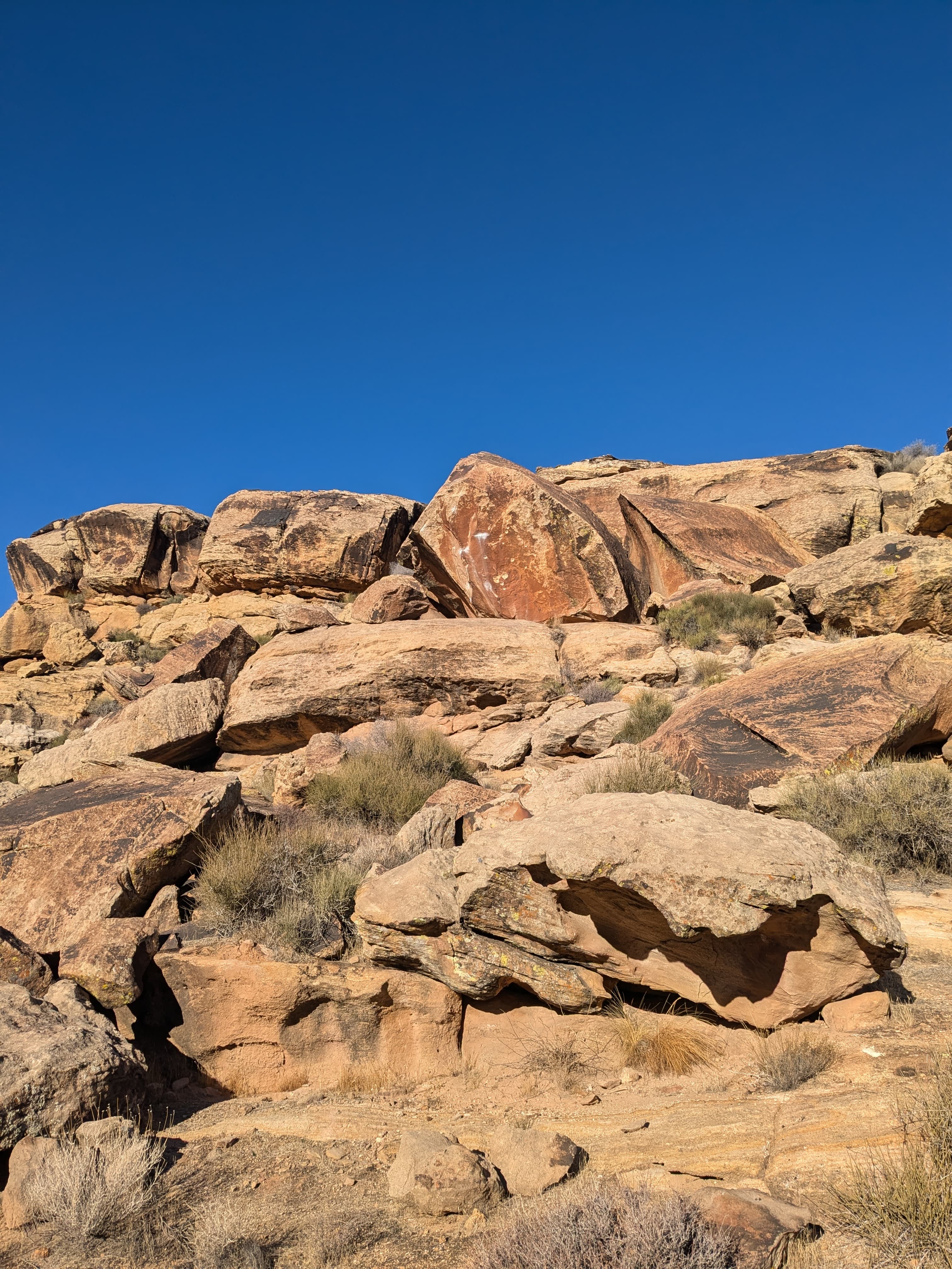 Photo of Sentinel Area