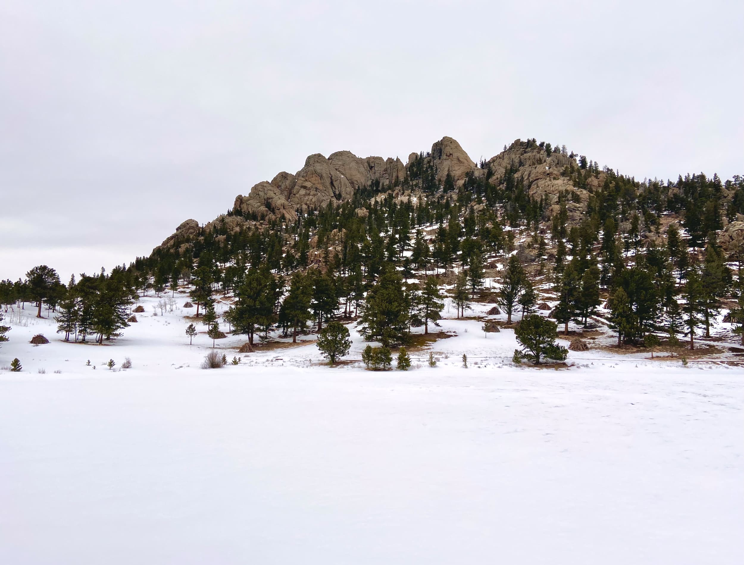 Photo of Estes Park Valley