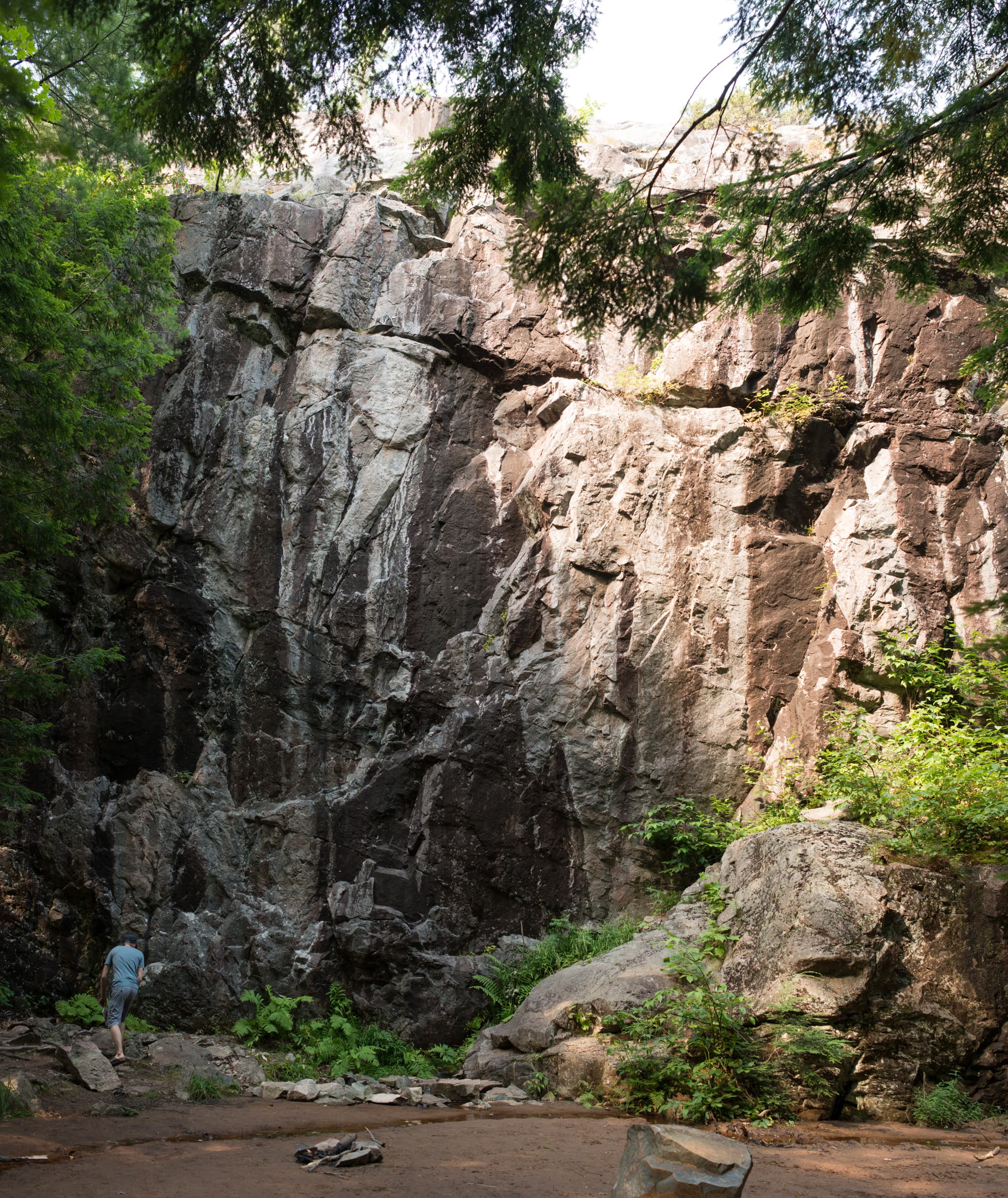 Photo of Michigan