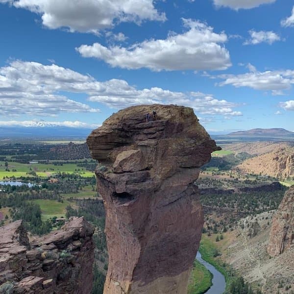 Photo of Monkey Face