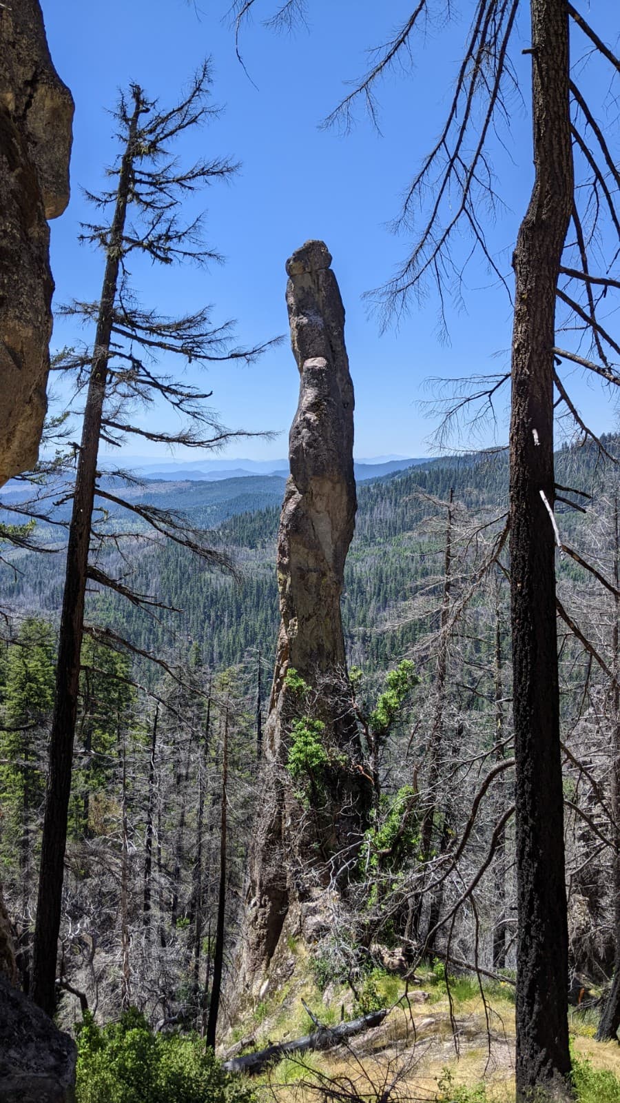 Photo of Oregon