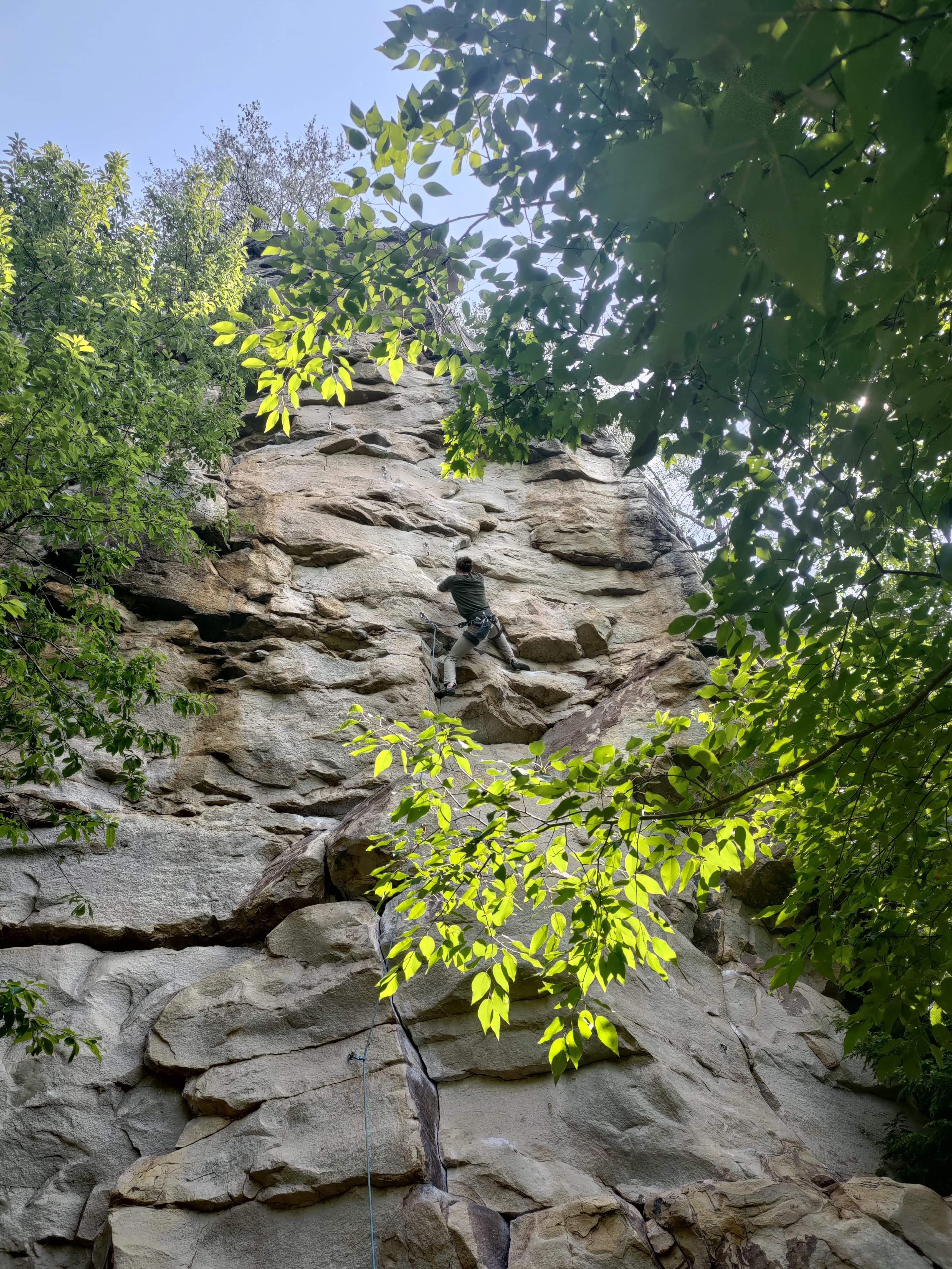 Photo of Tennessee