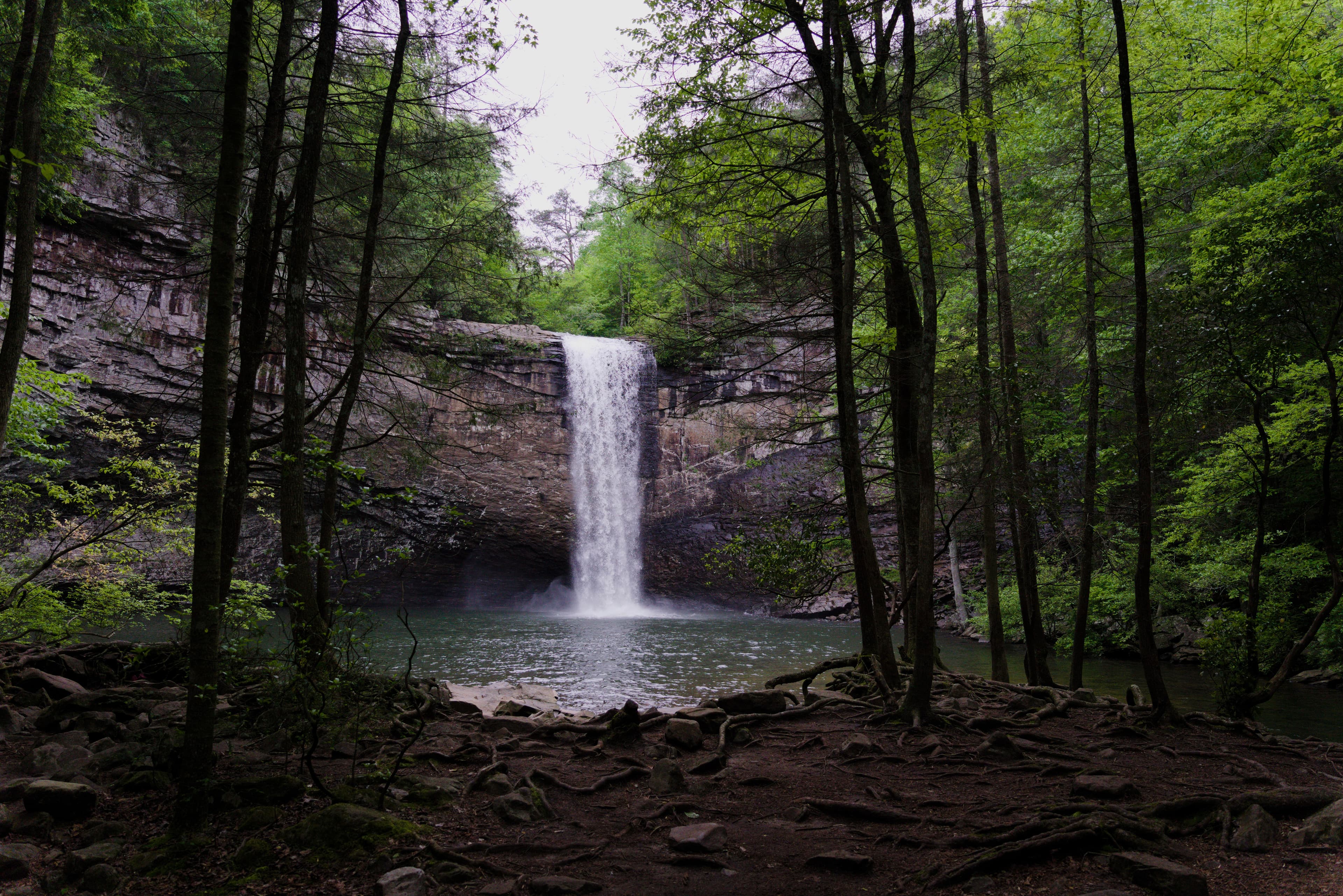 Photo of Foster Falls