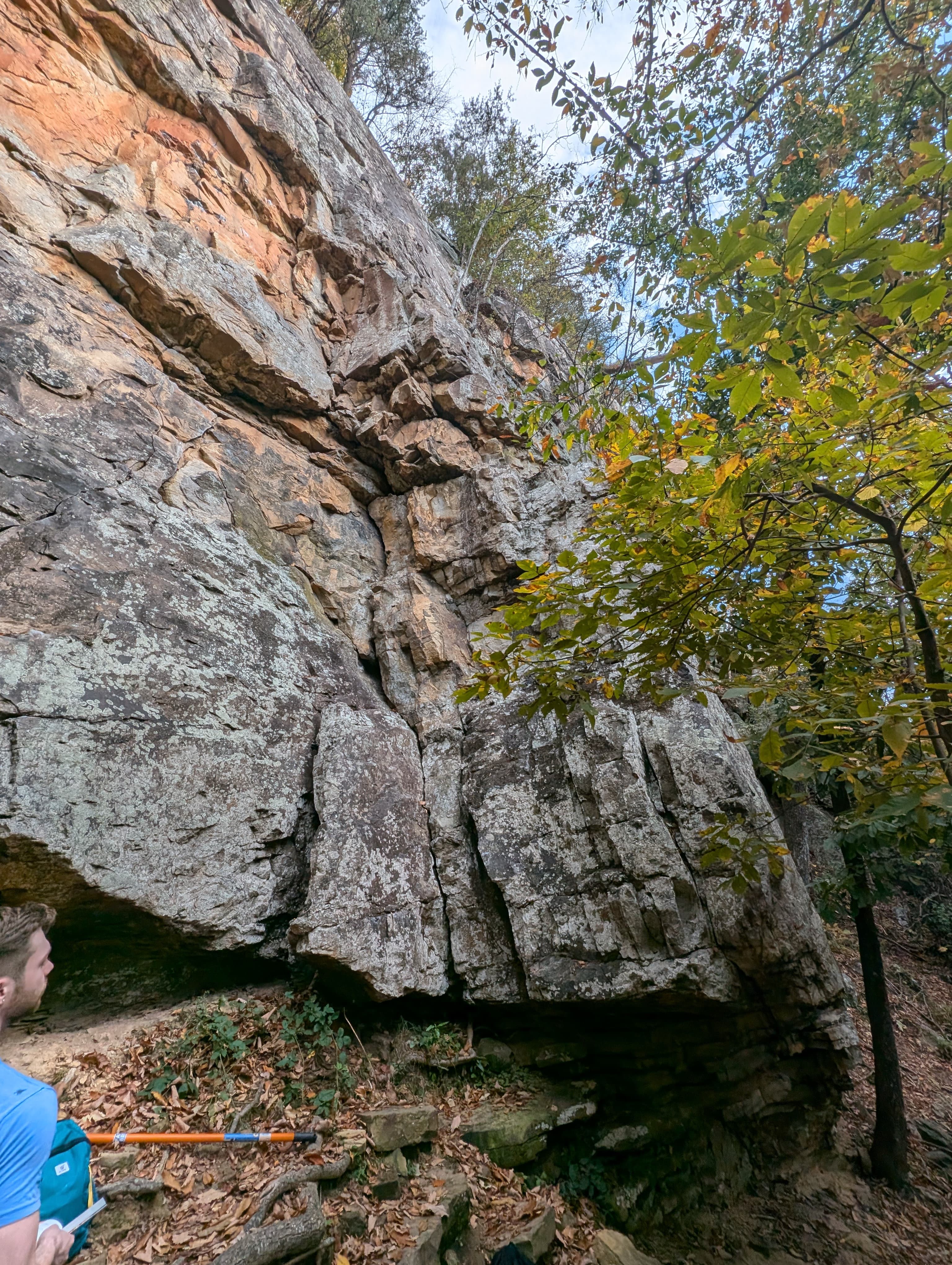 Photo of Tennessee