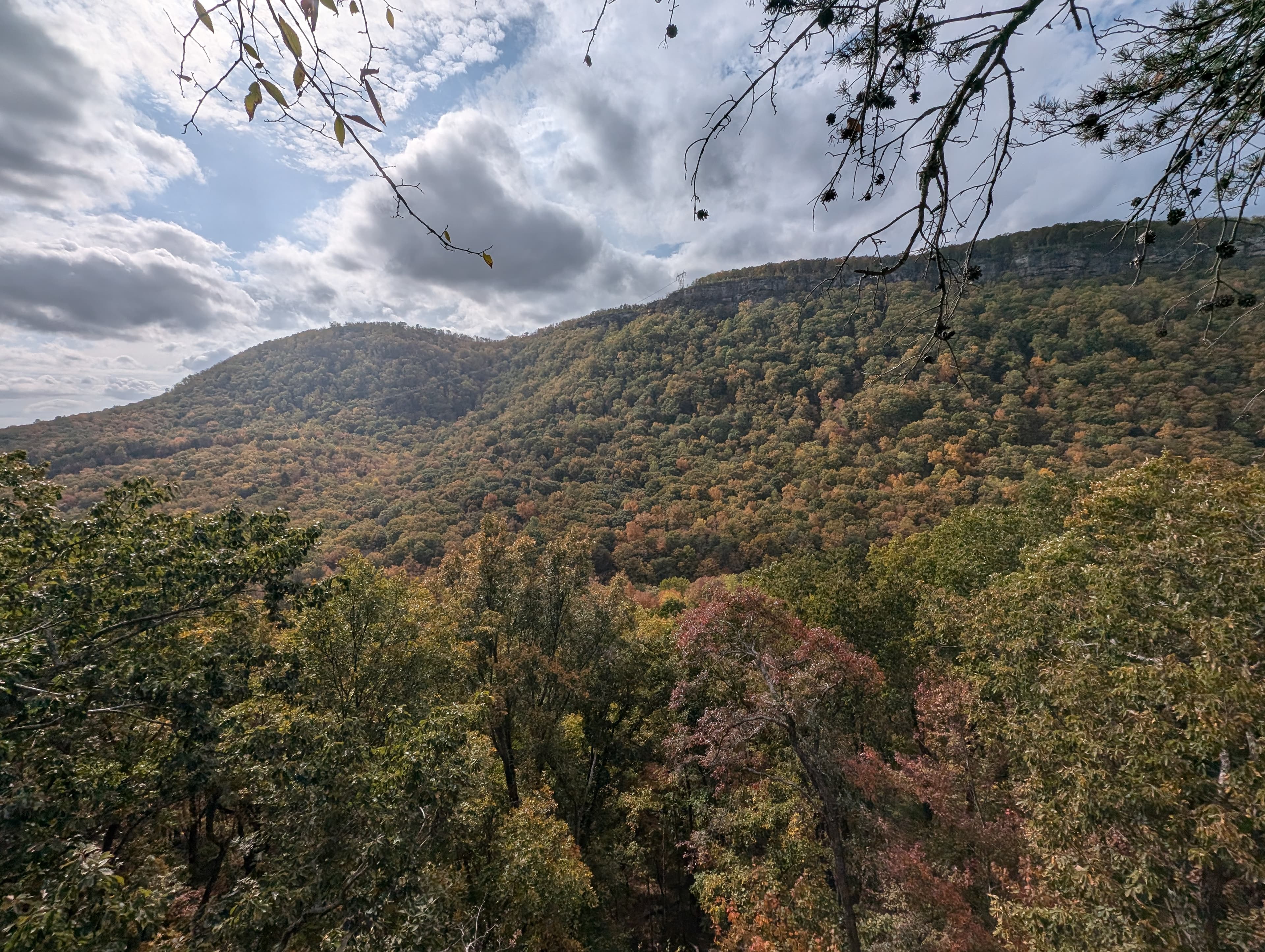 Photo of Tennessee
