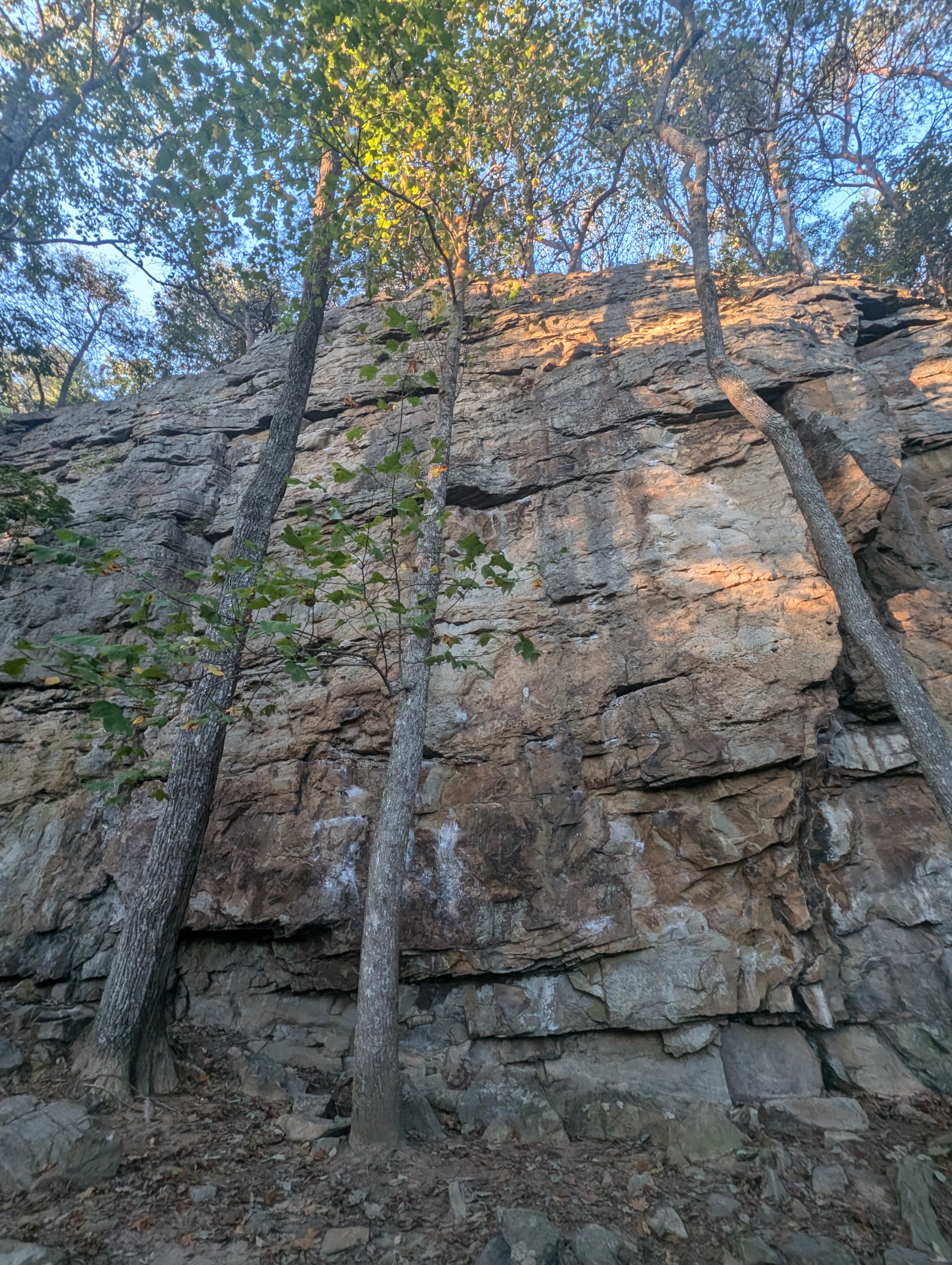 Photo of Denny Cove
