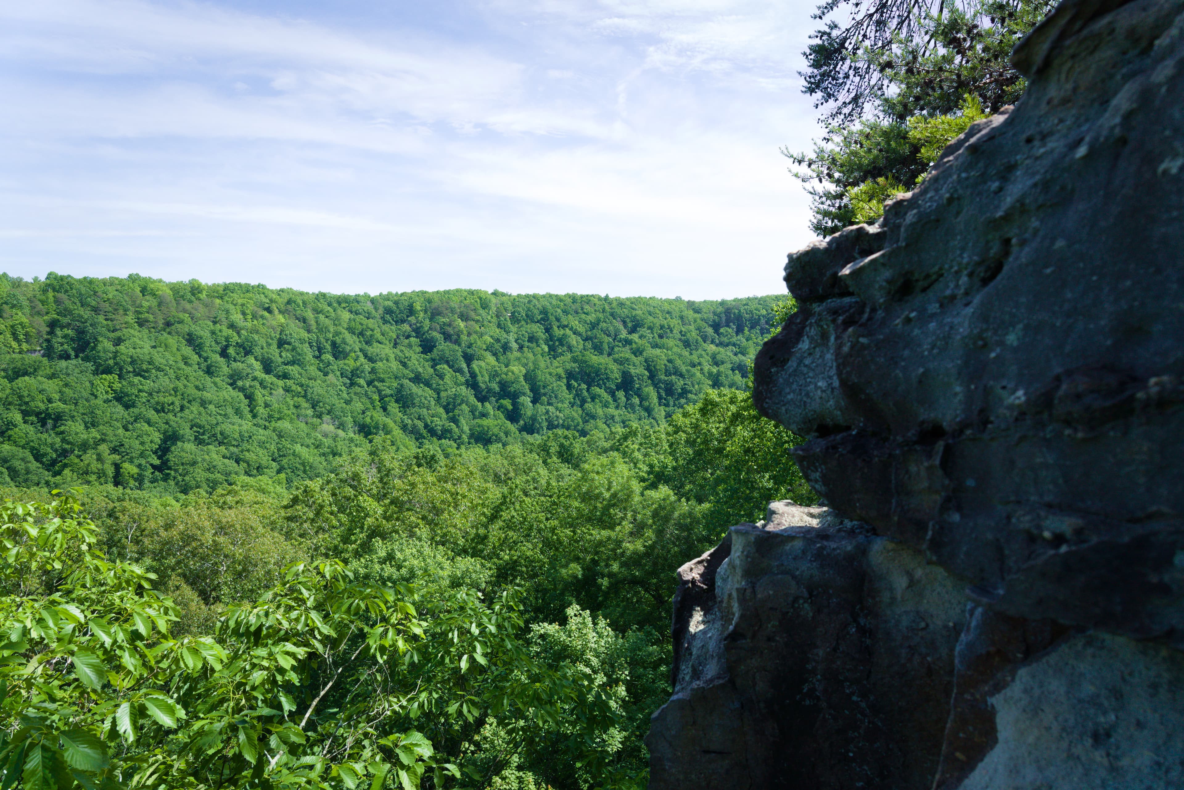 Photo of Foster Falls