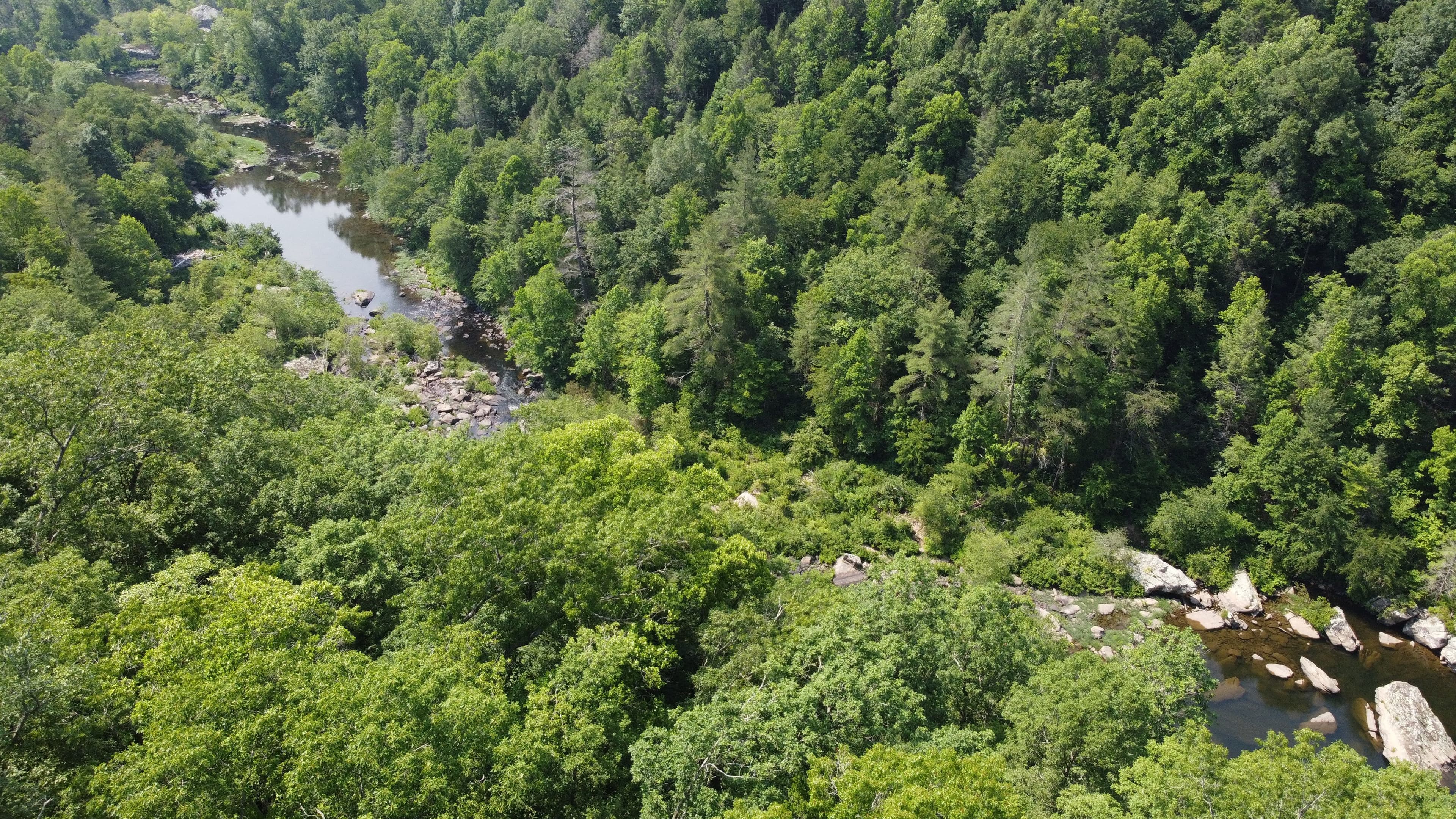 Photo of Tennessee