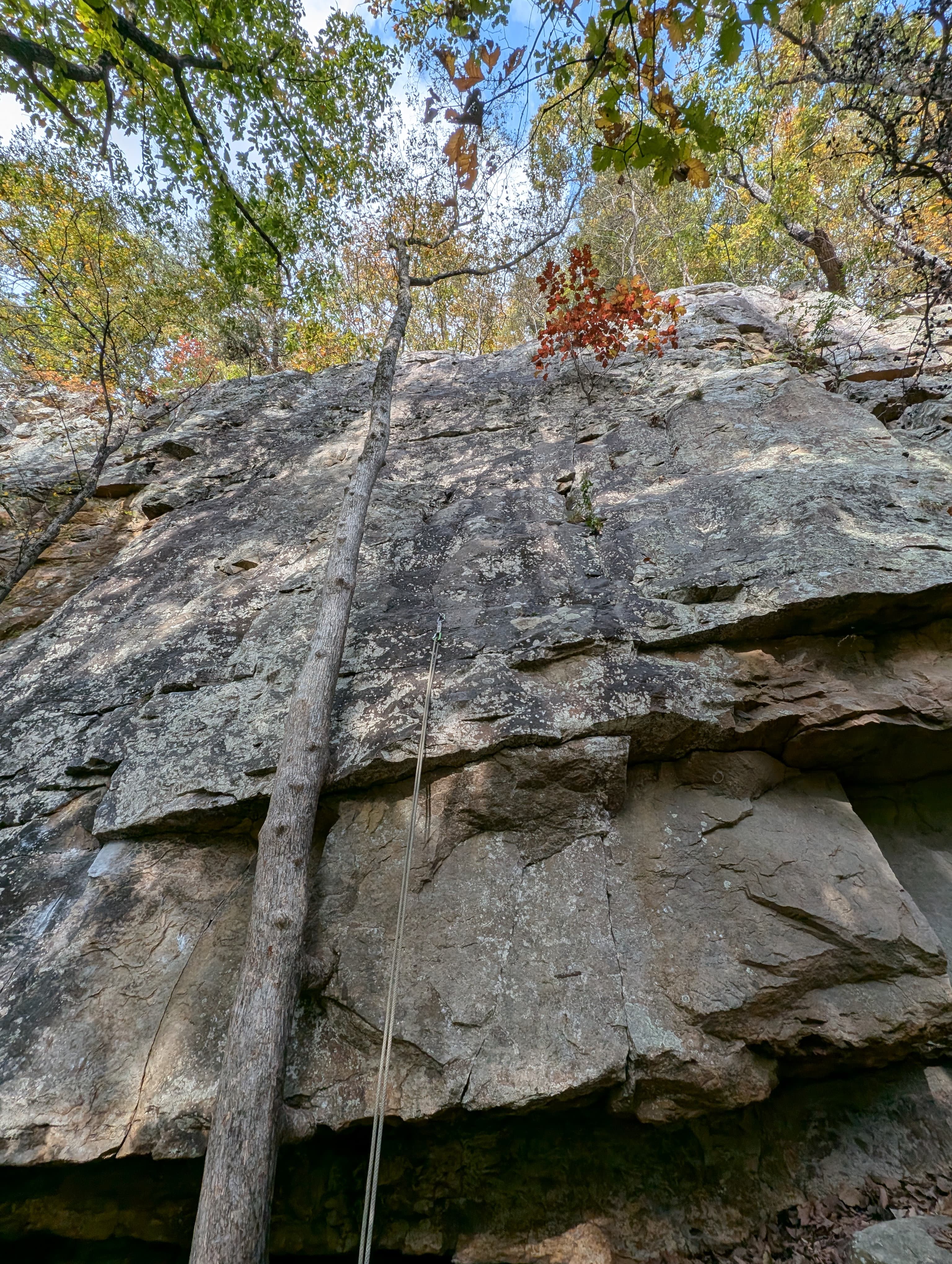 Photo of Tennessee