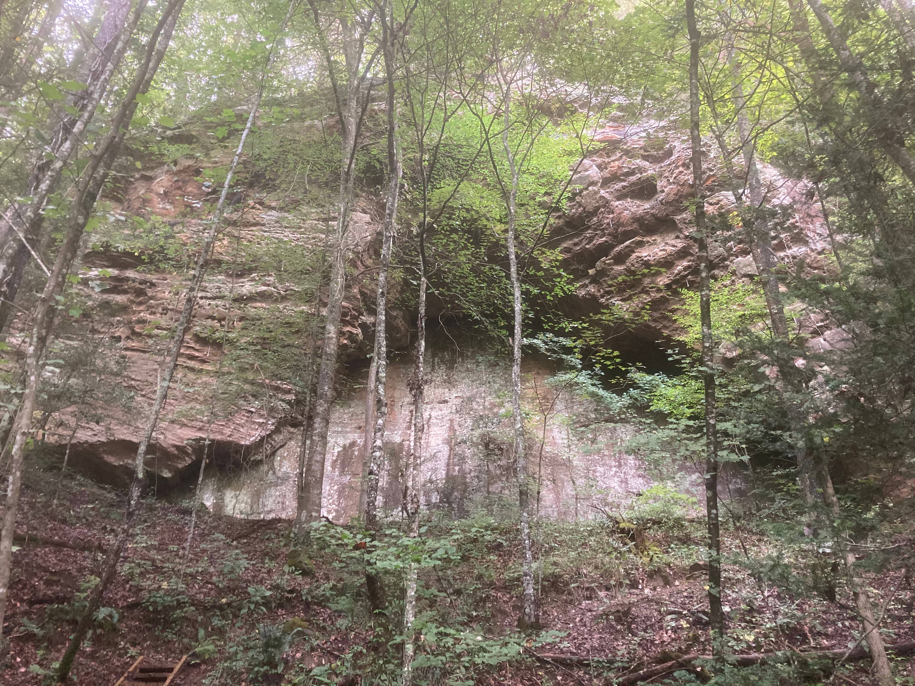 Photo of Kentucky