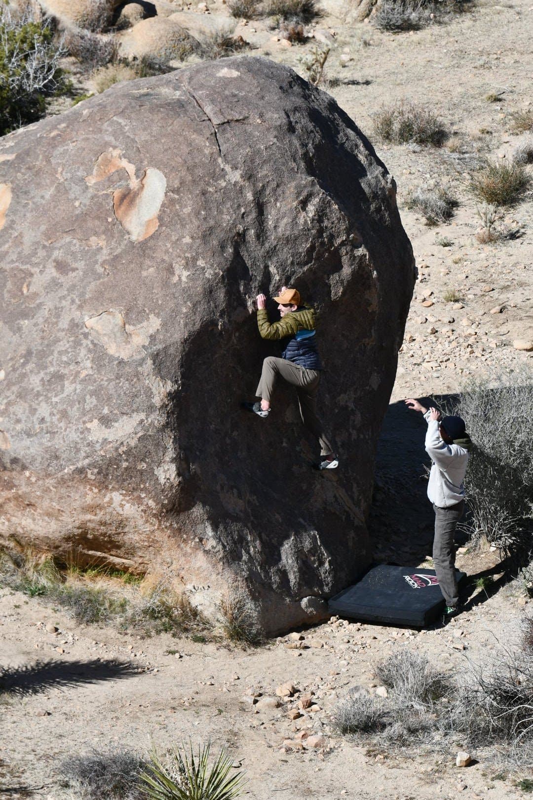 Photo of Joshua Tree National Park
