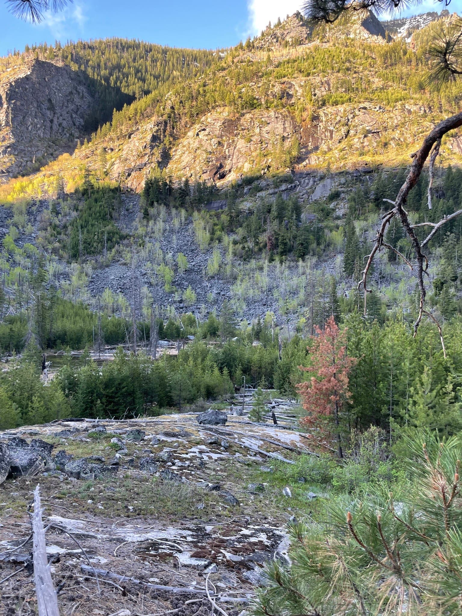 Photo of Blodgett Canyon