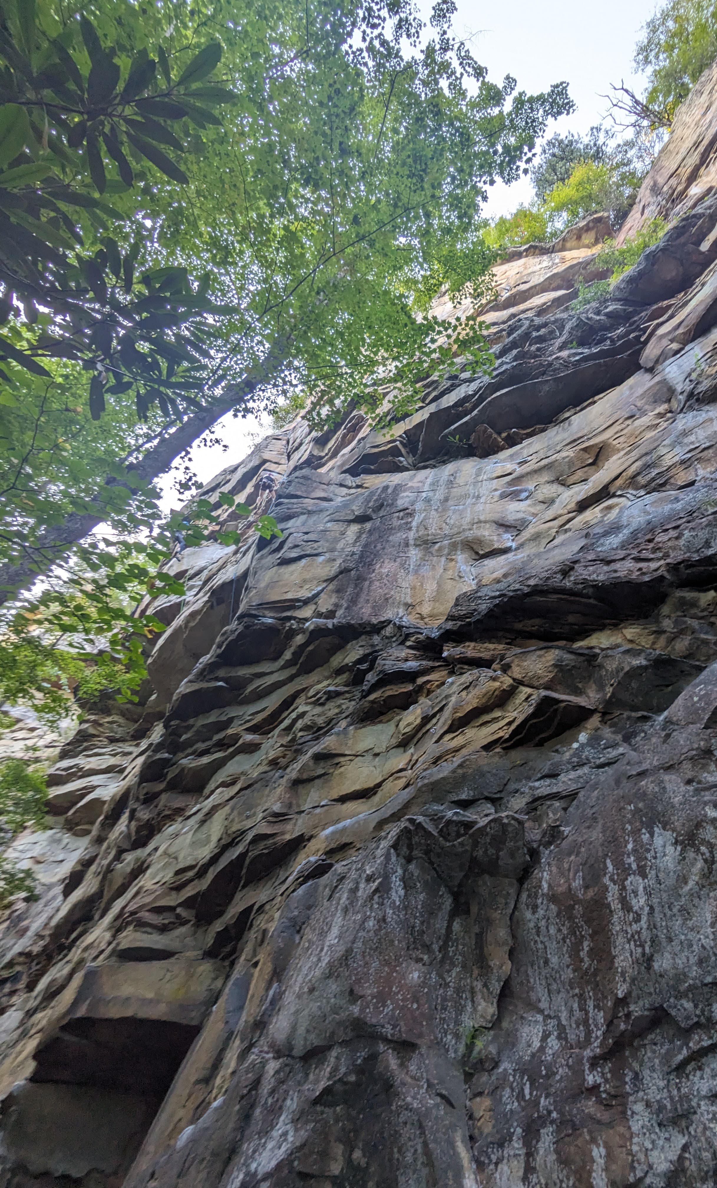 Photo of Meadow River Gorge