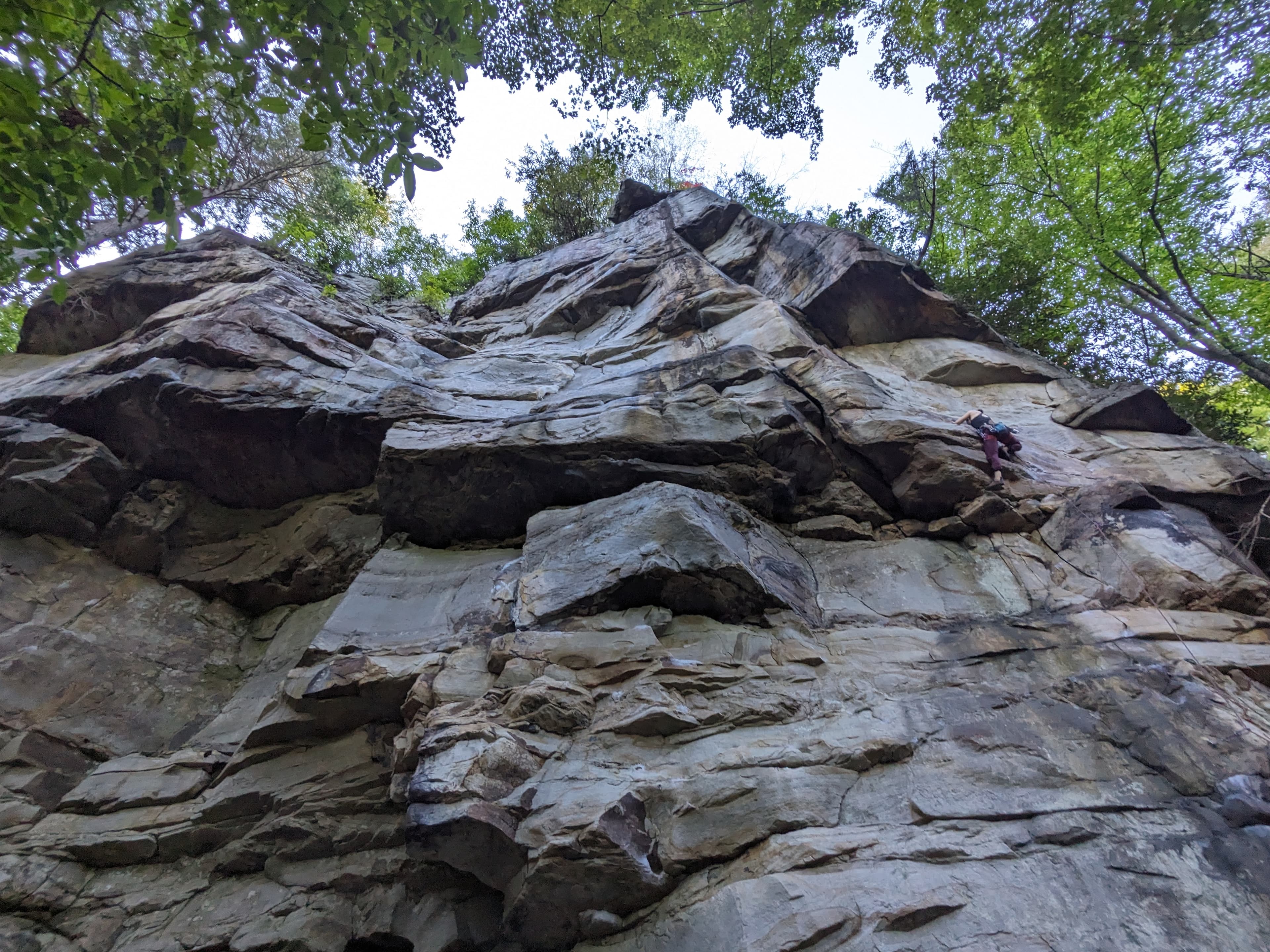 Photo of New River Gorge Proper