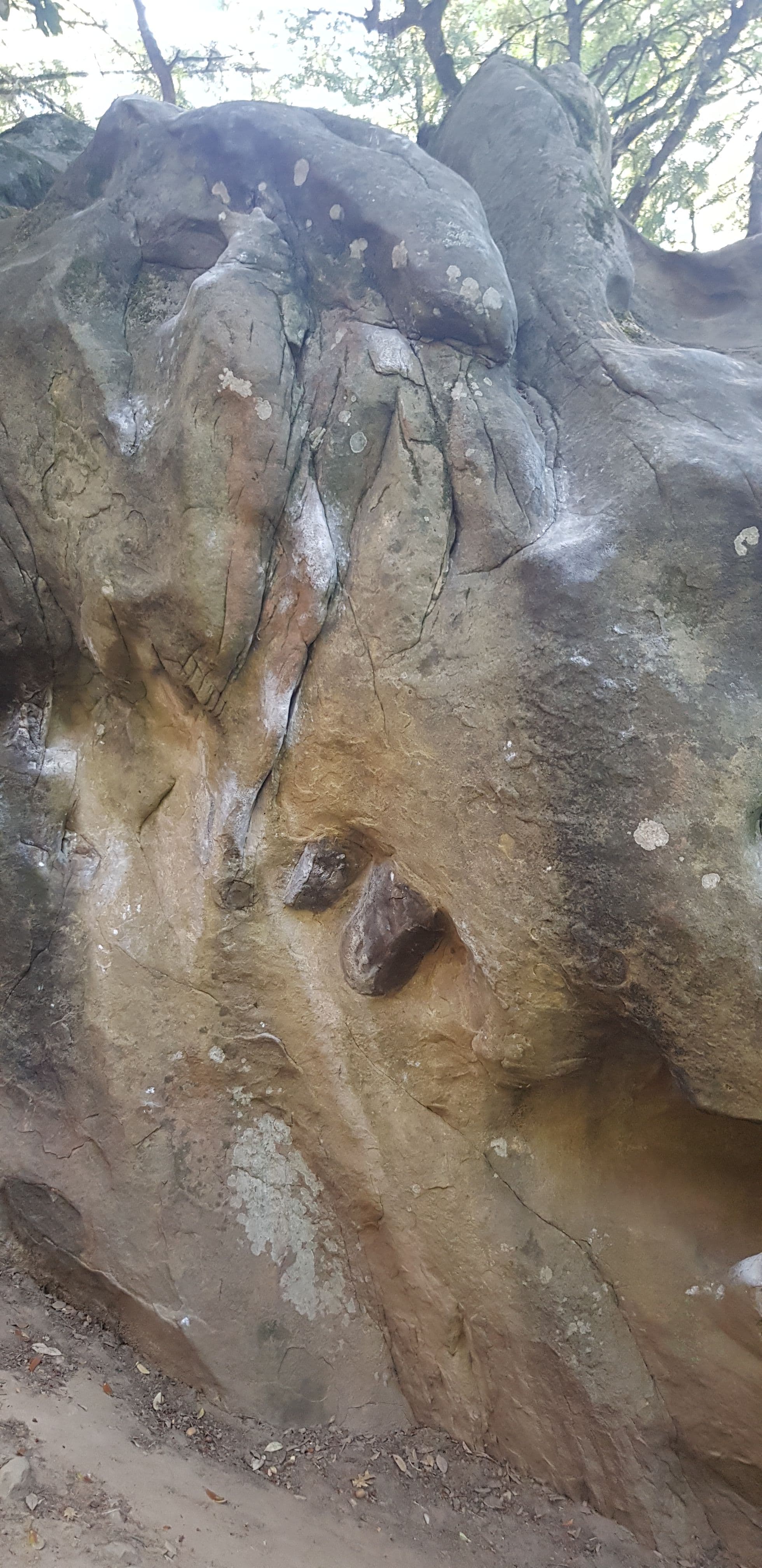 Photo of Castle Rock Loop