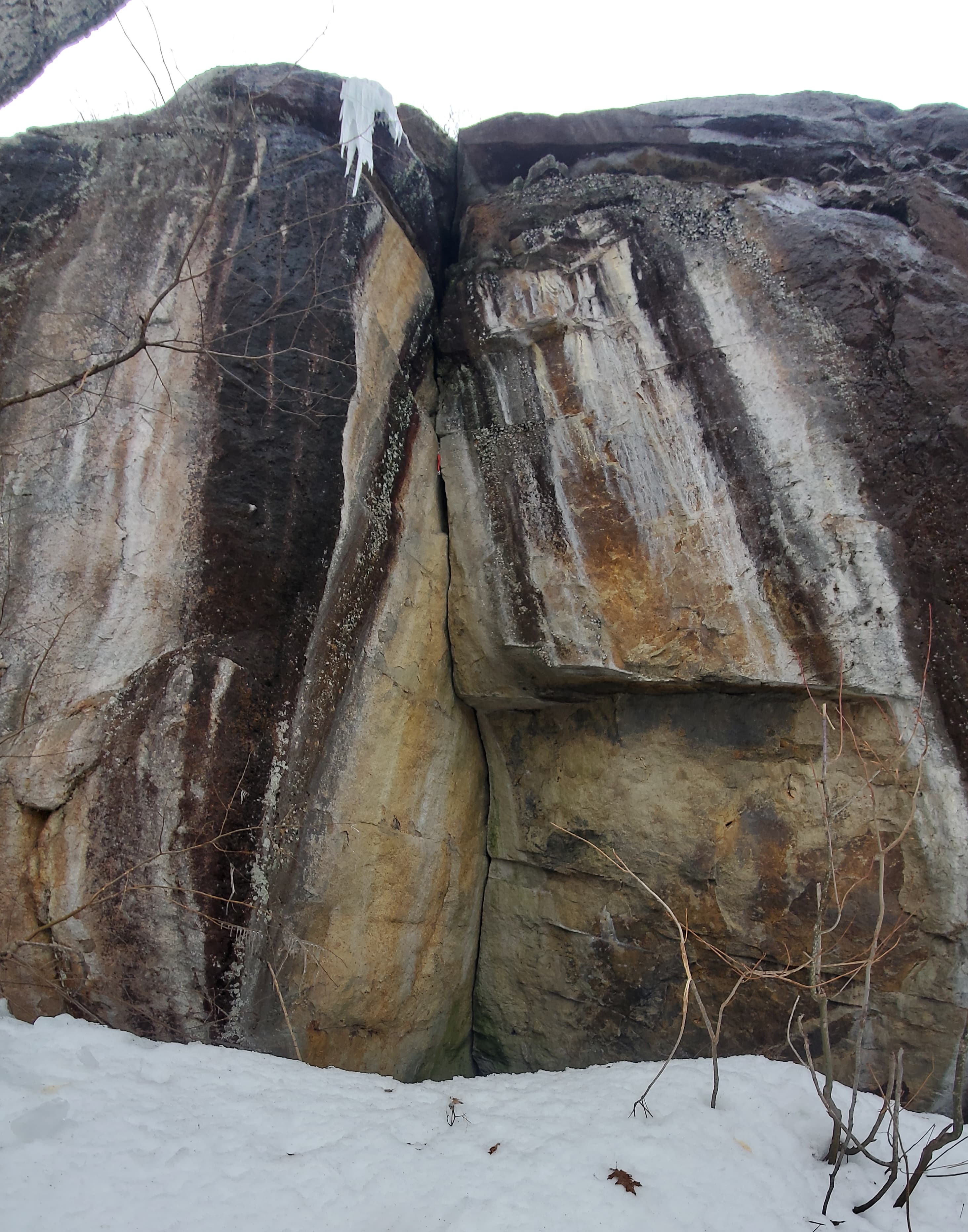 Photo of Crack In The Woods