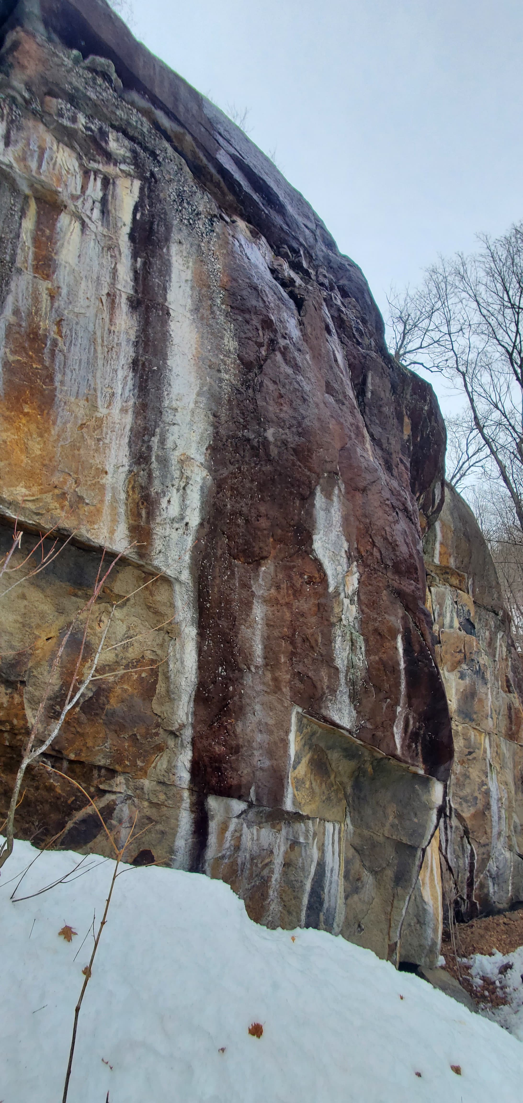 Photo of Crack In The Woods