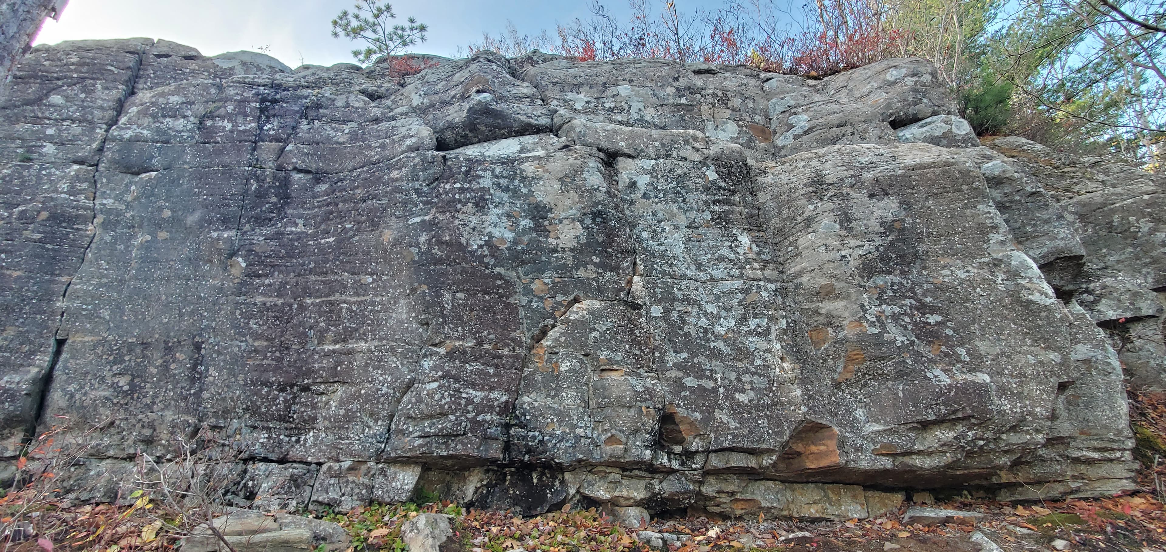 Photo of Shaw Wilderness Park