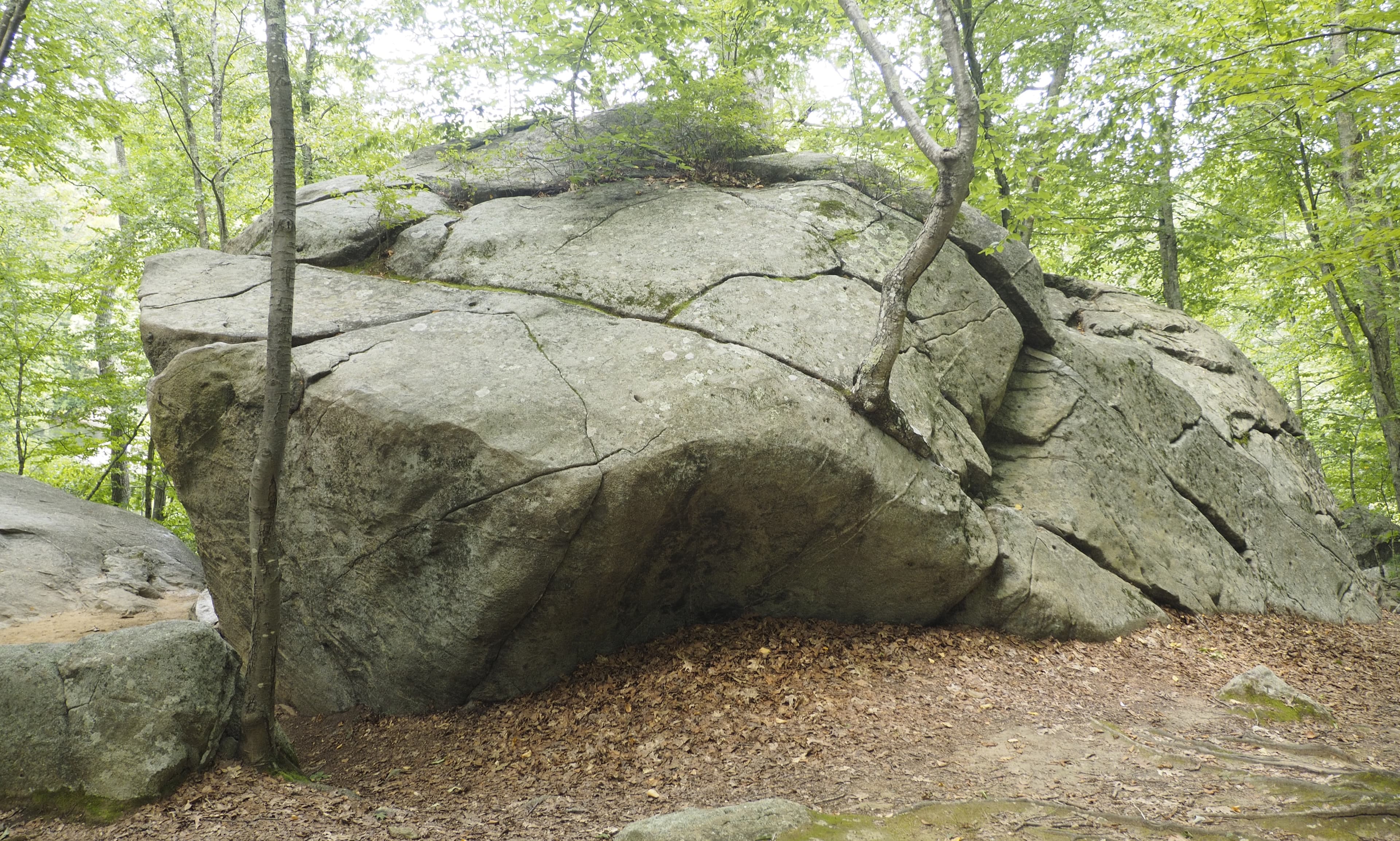 Photo of Great Slab / Wave Boulder