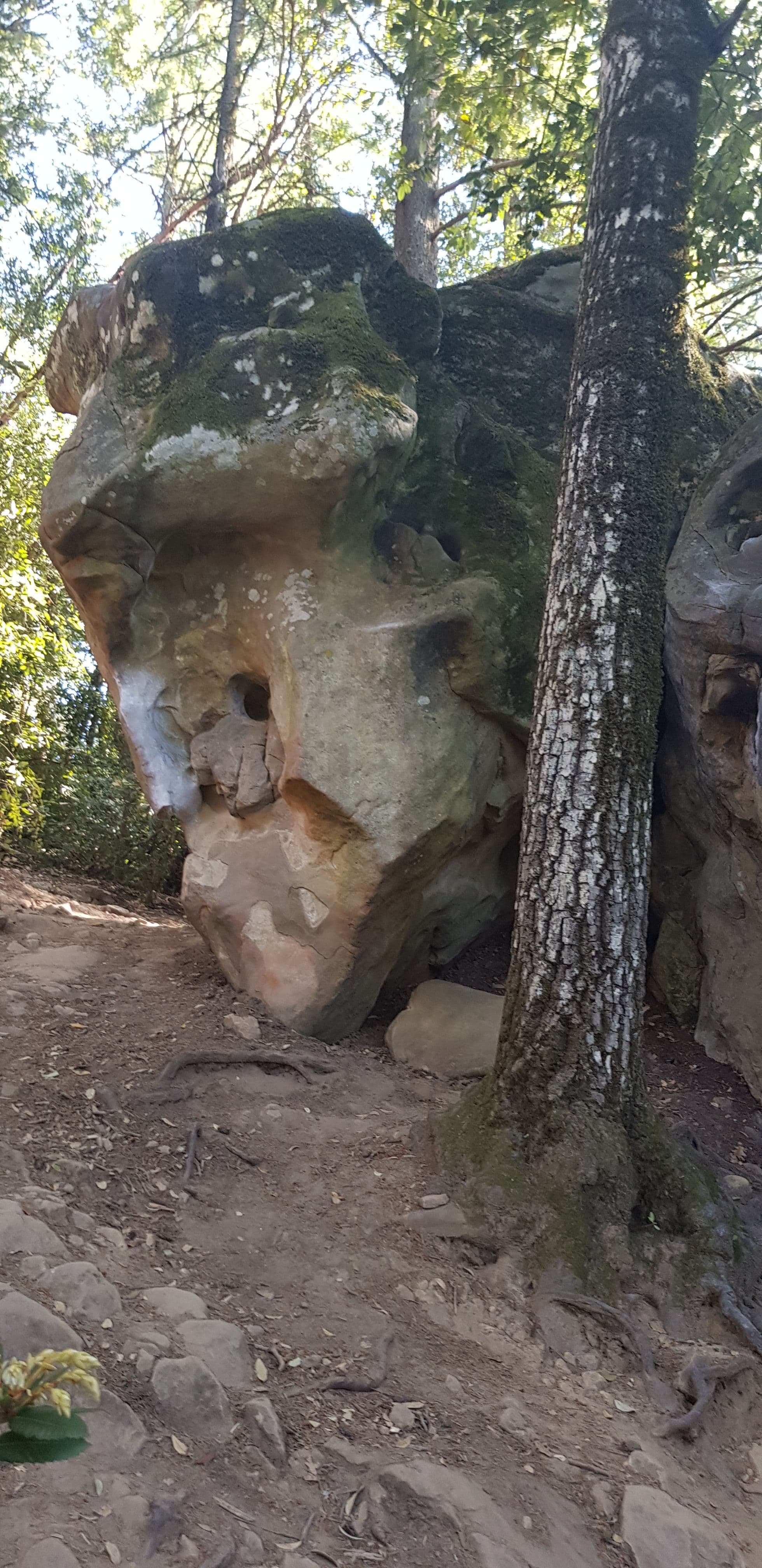 Photo of Castle Rock Loop