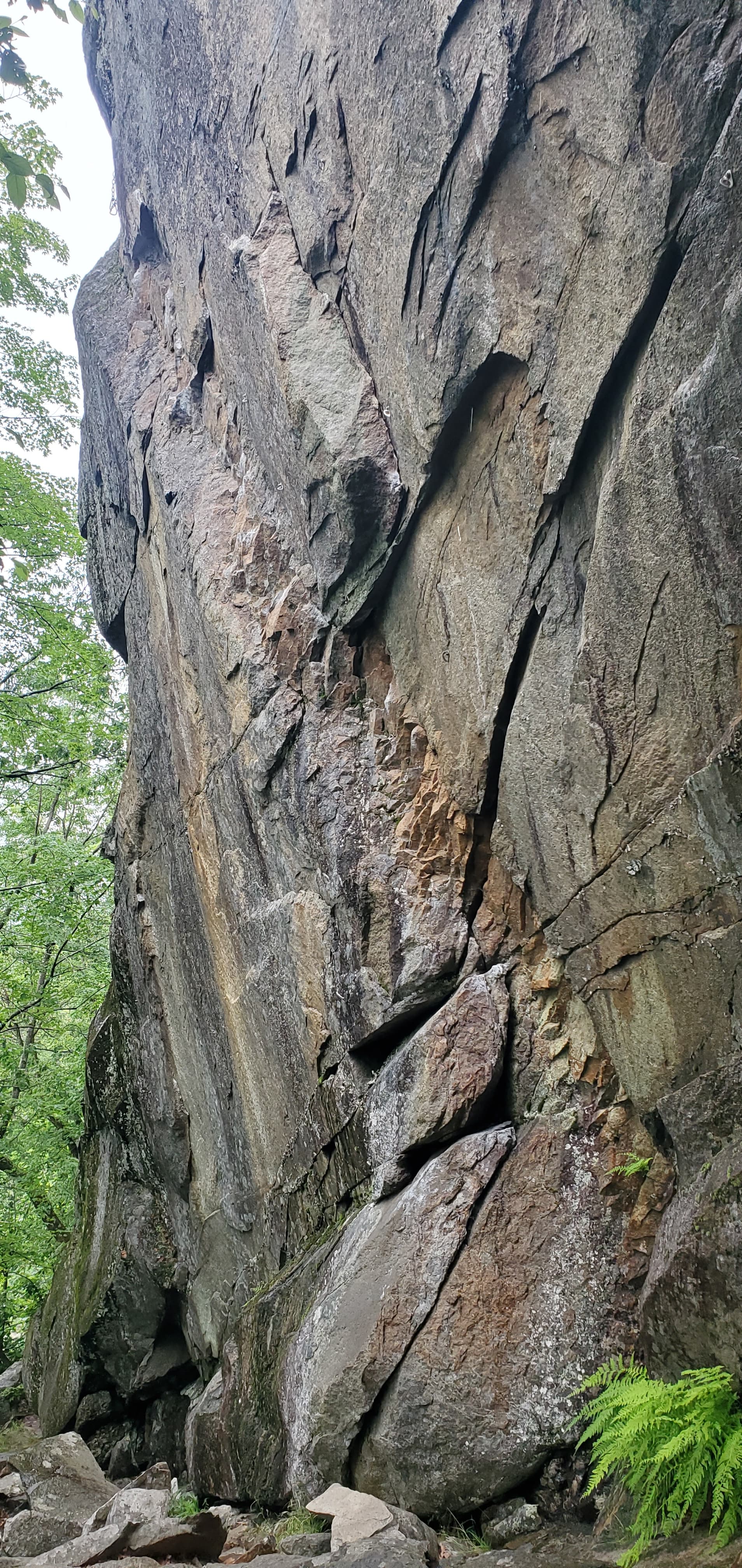 Photo of WM: Kancamagus (Eastern)