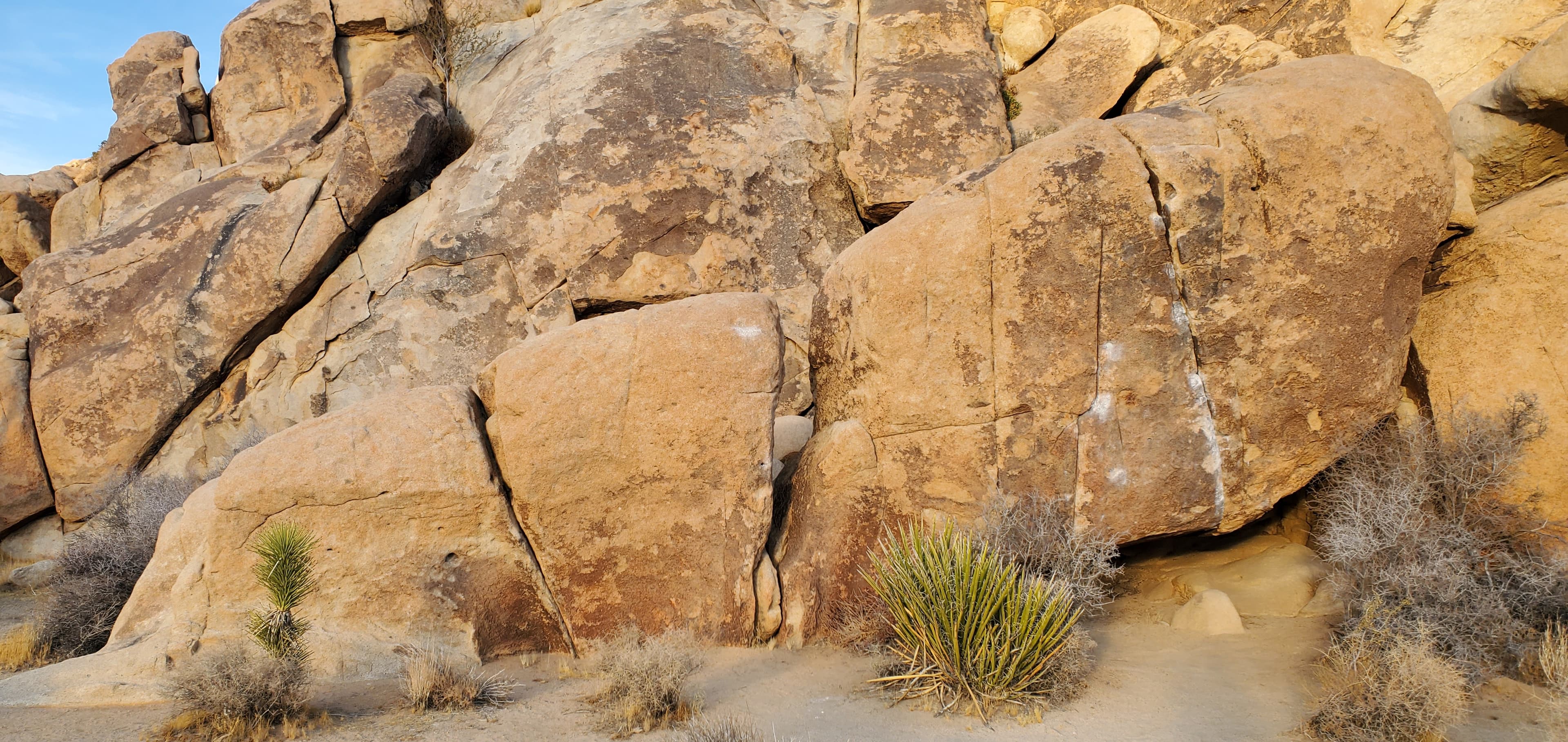 Photo of *Joshua Tree Bouldering*