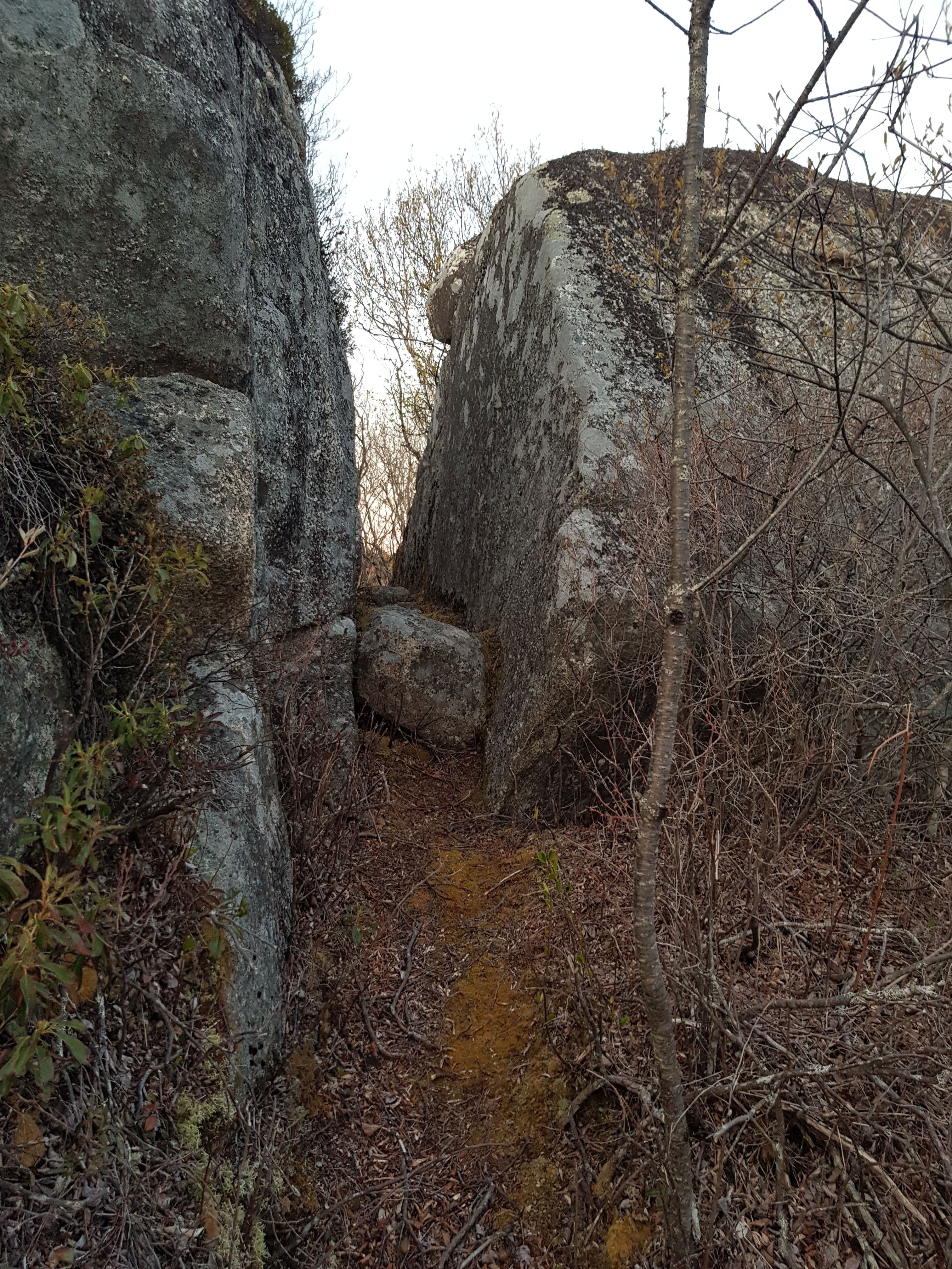 Photo of Peggy's Cove