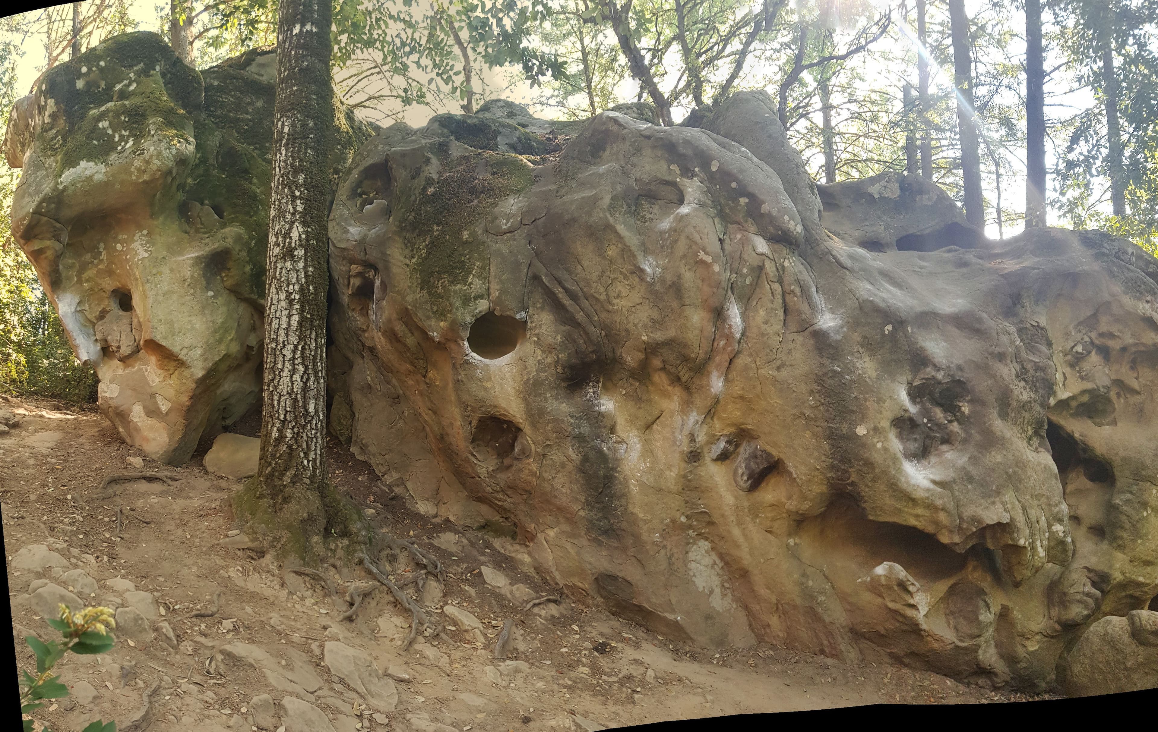 Photo of Castle Rock Loop