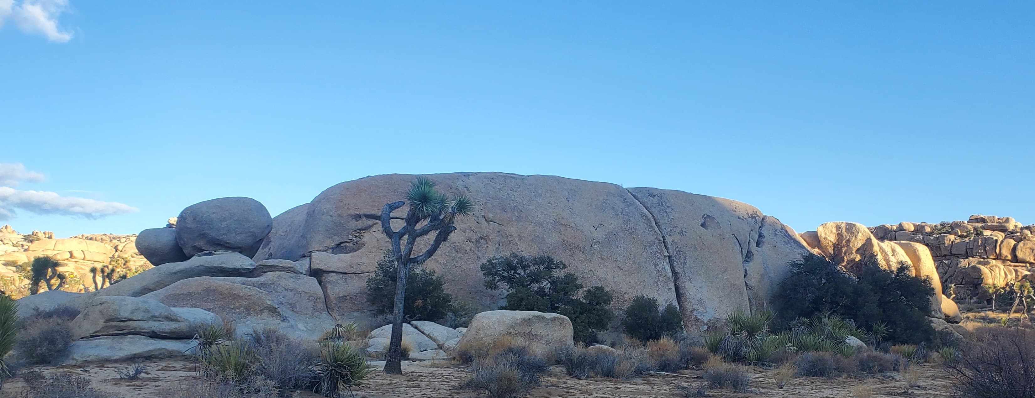Photo of *Joshua Tree Bouldering*