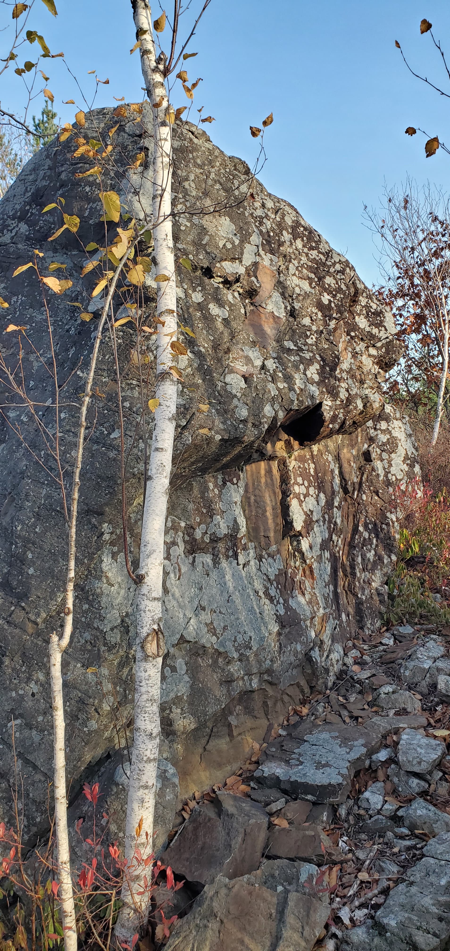 Photo of Shaw Wilderness Park