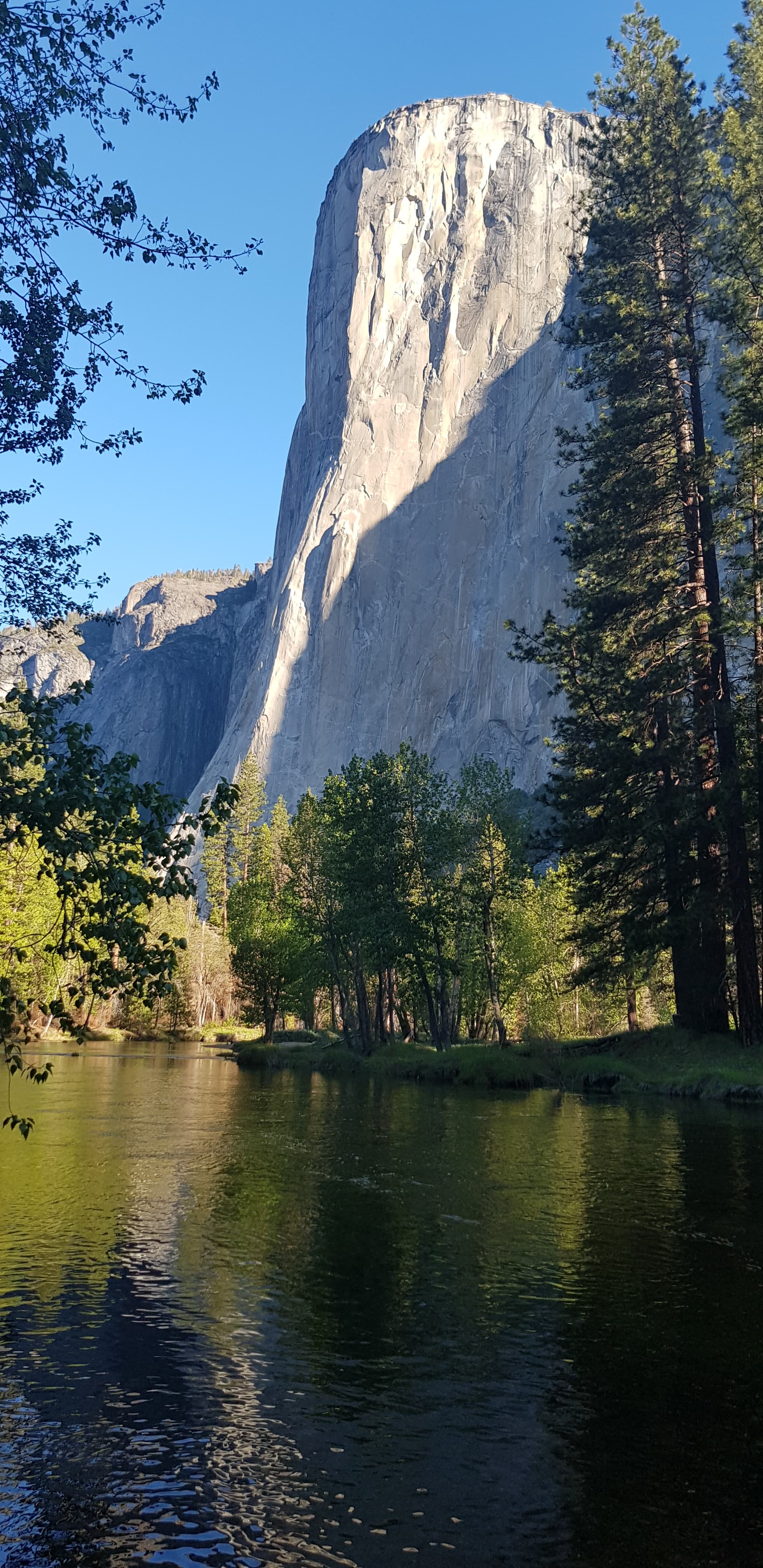 Photo of B. El Capitan
