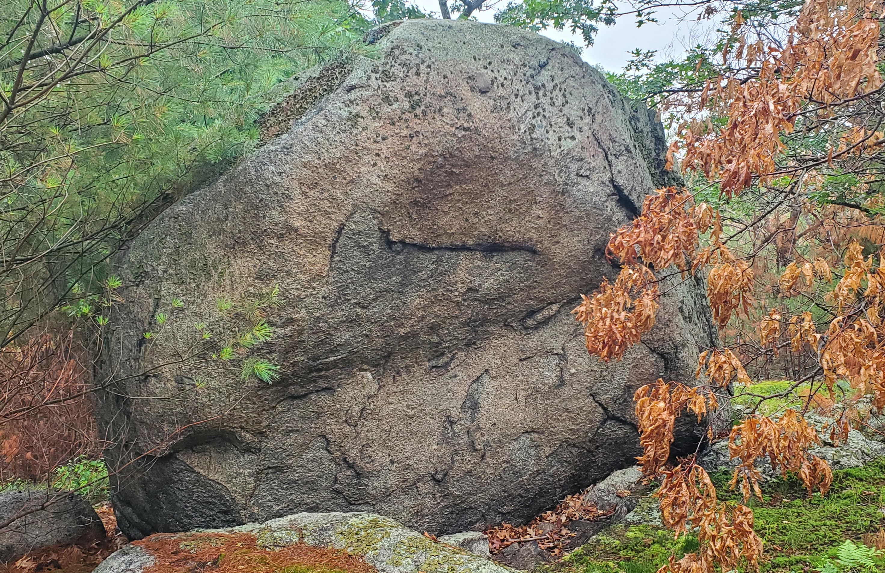 Photo of Trailside Boulder