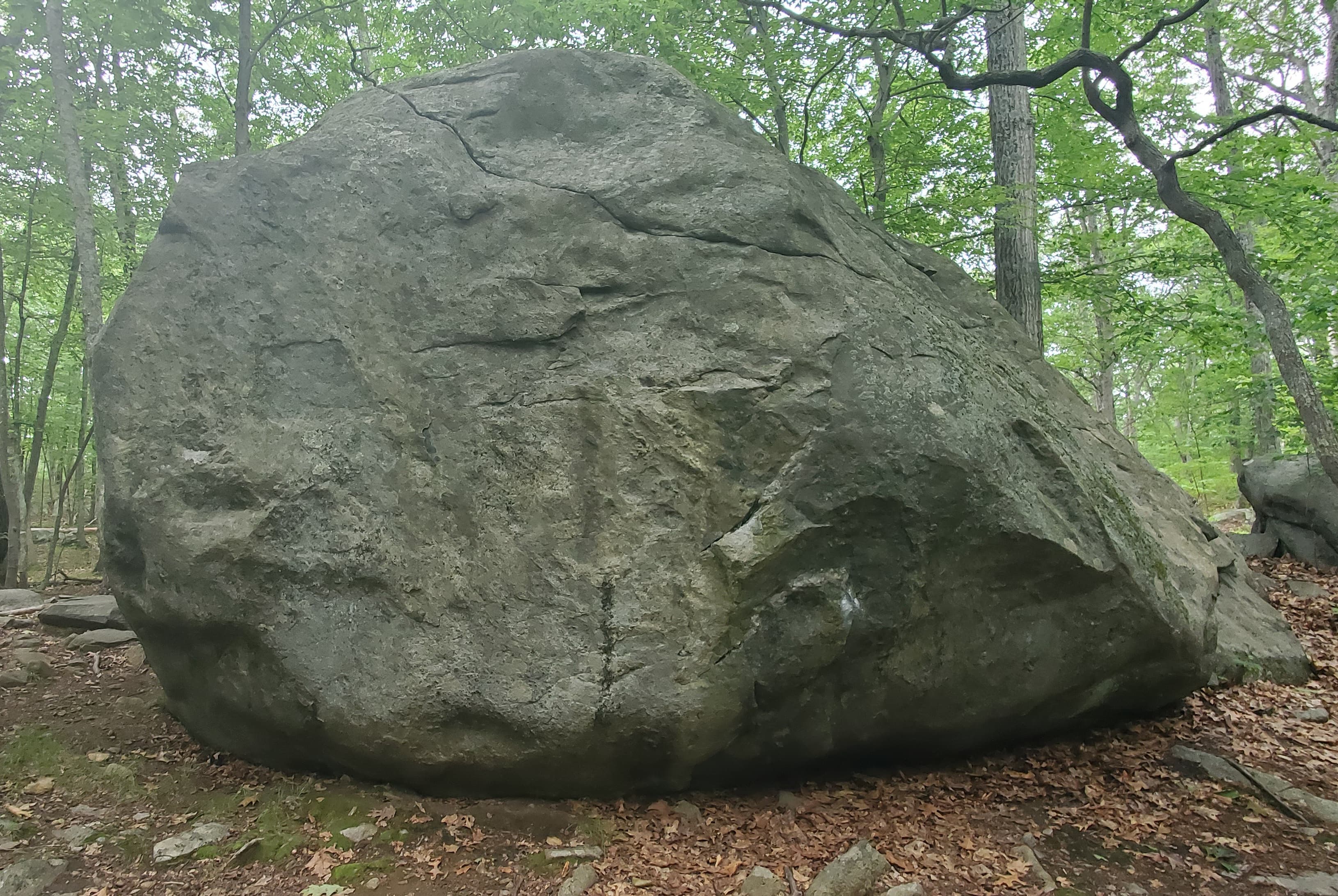 Photo of Lincoln Woods