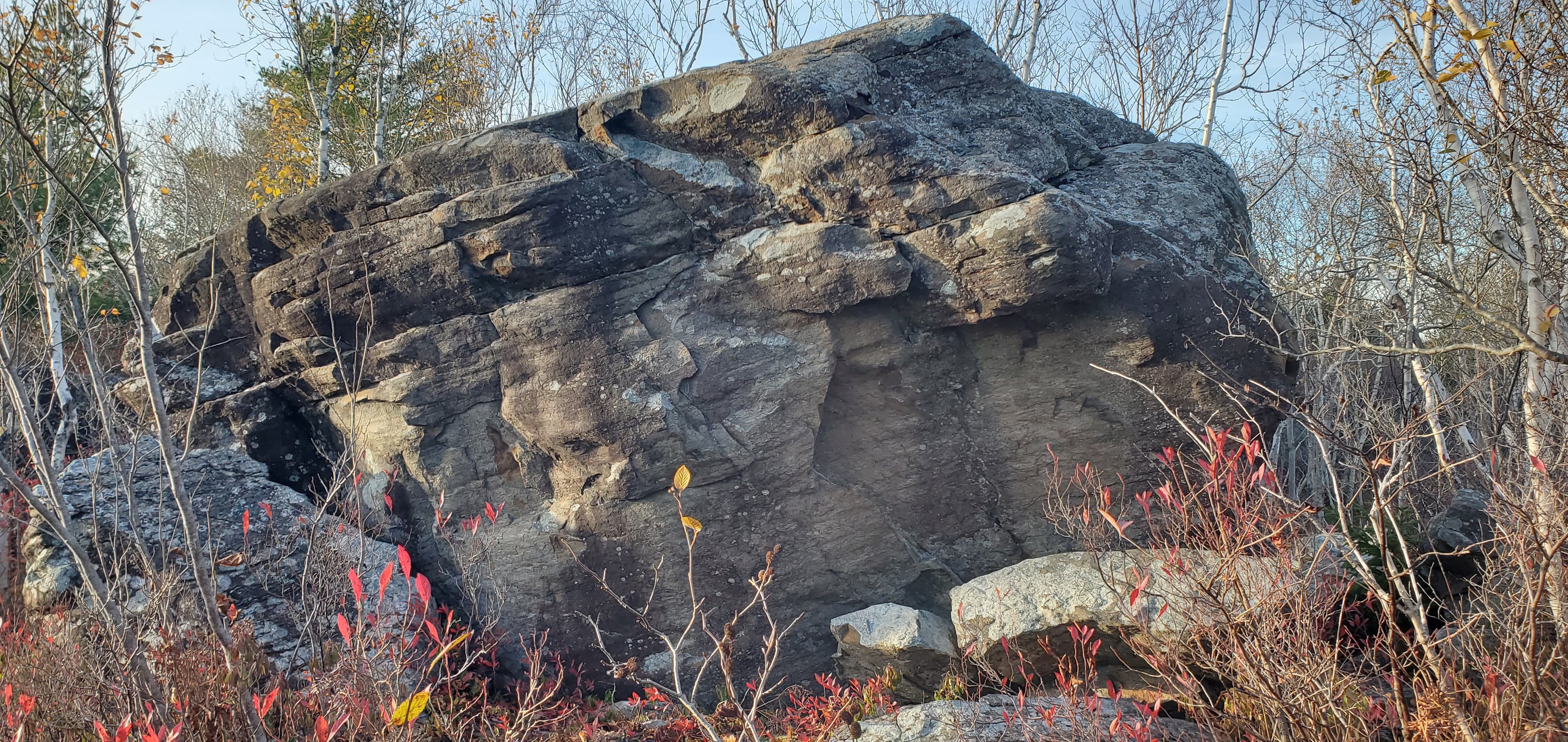 Photo of Shaw Wilderness Park
