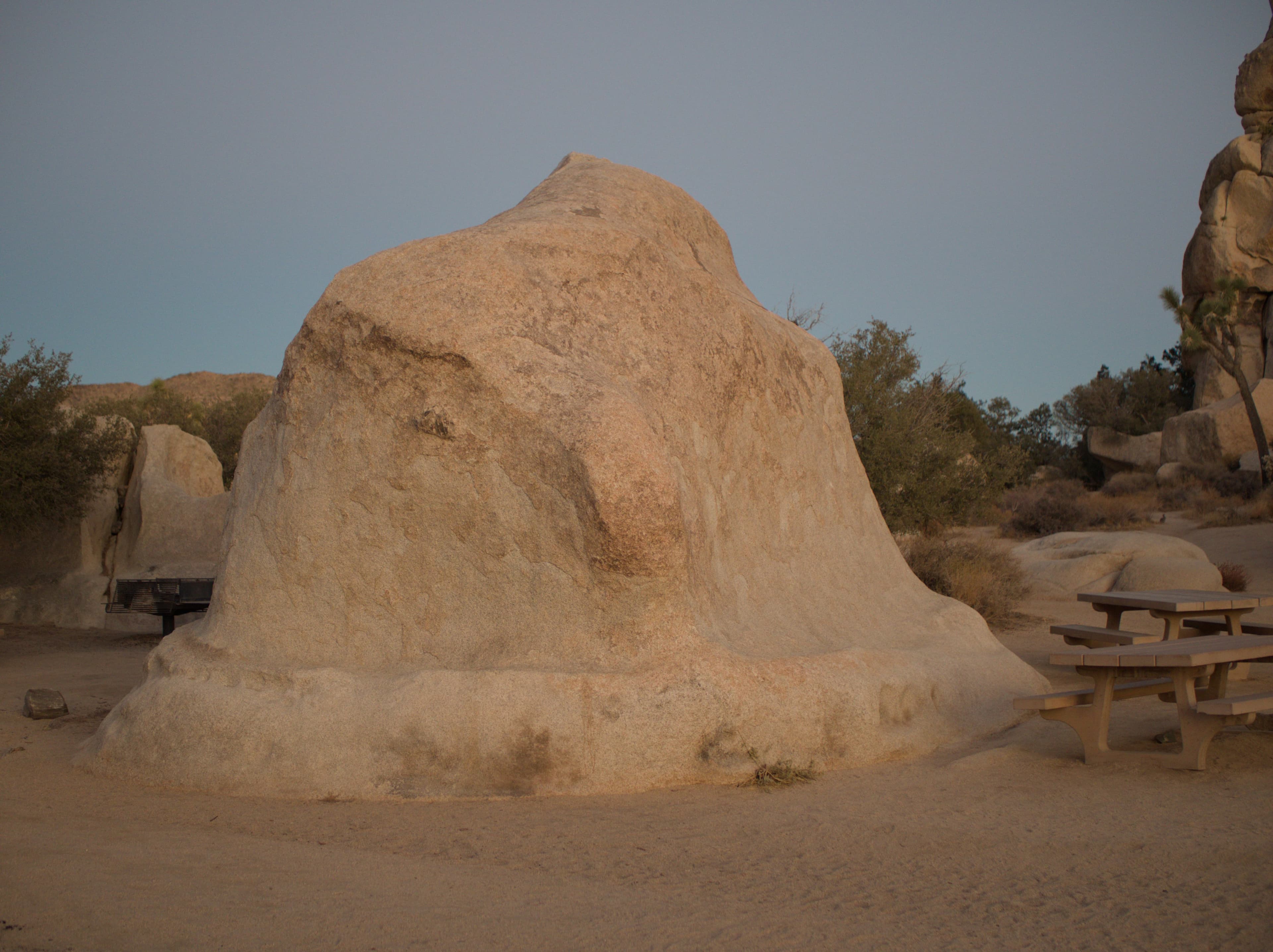 Photo of Joshua Tree National Park