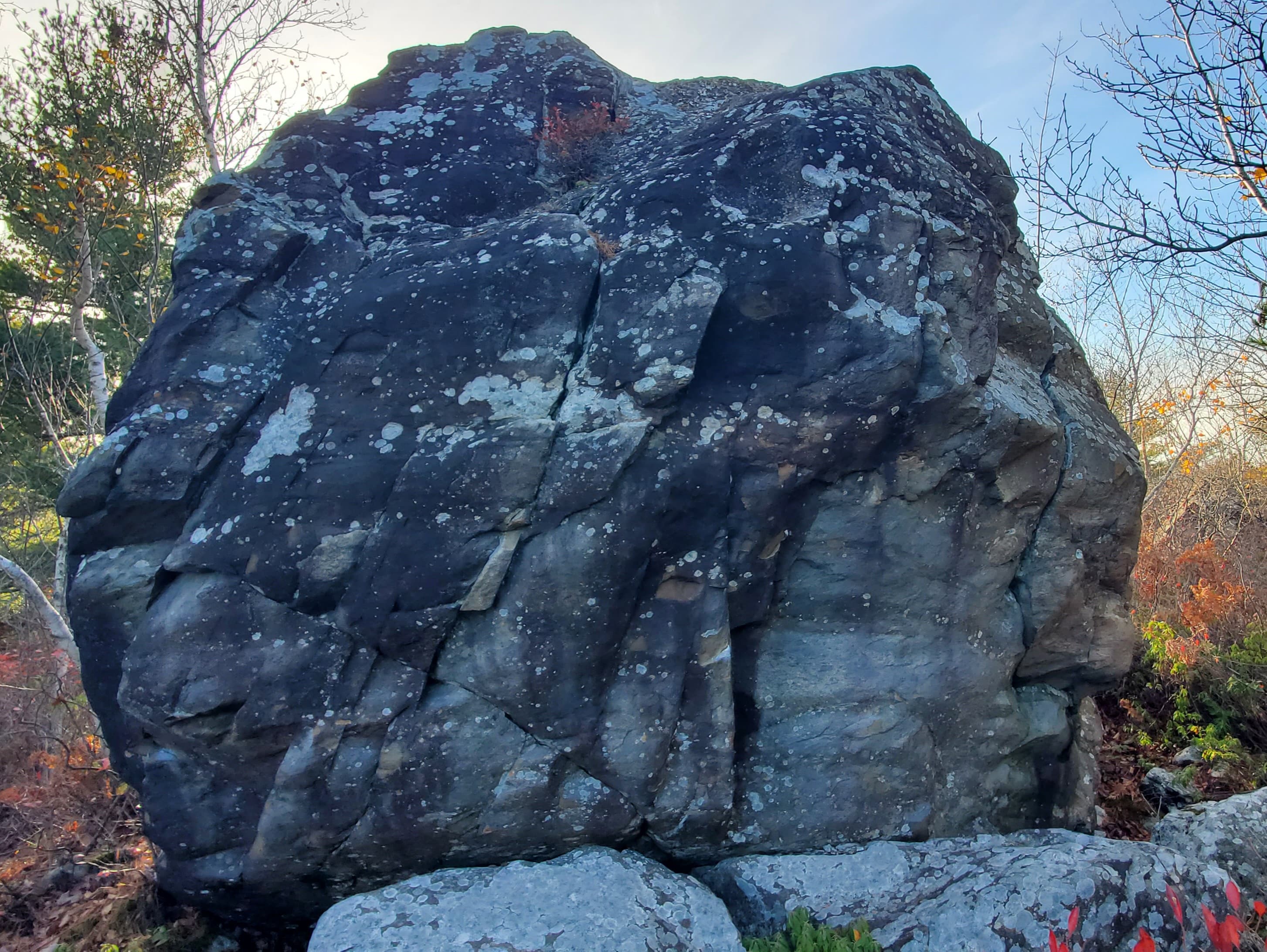 Photo of Shaw Wilderness Park