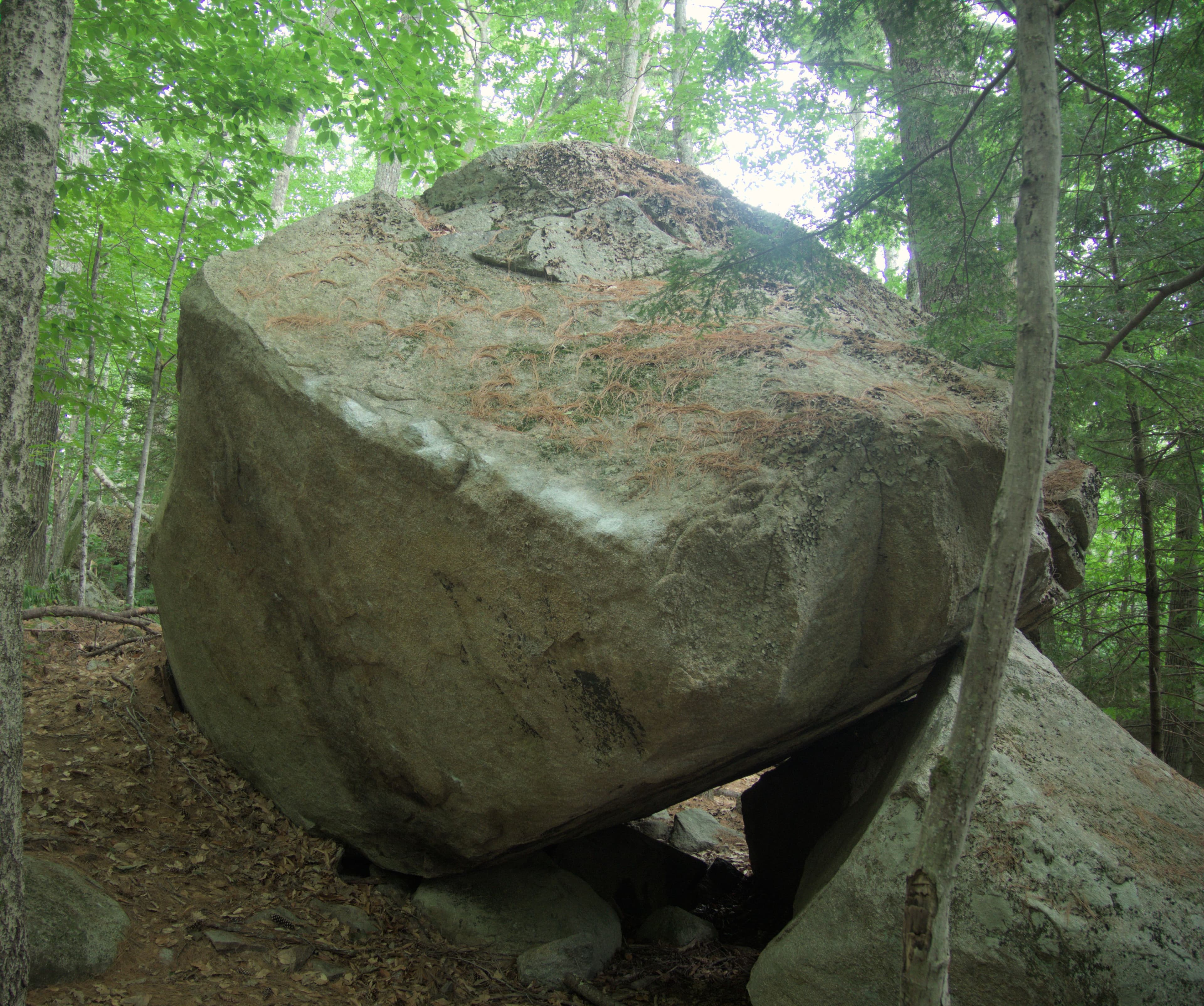Photo of WM: Kancamagus (Eastern)