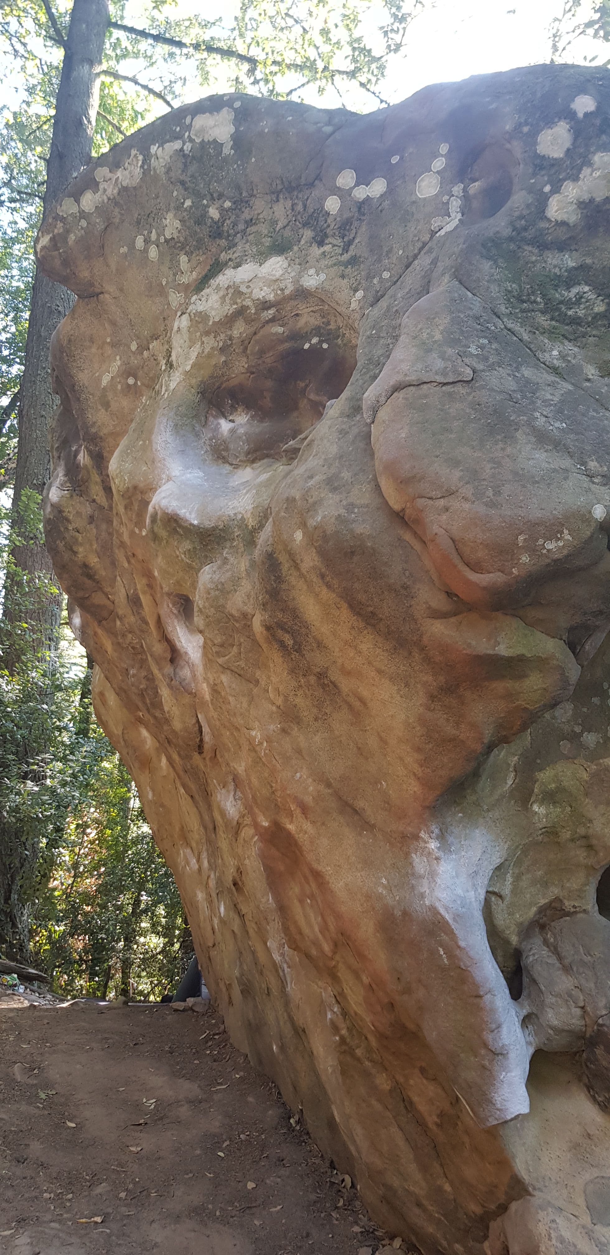 Photo of Castle Rock Loop