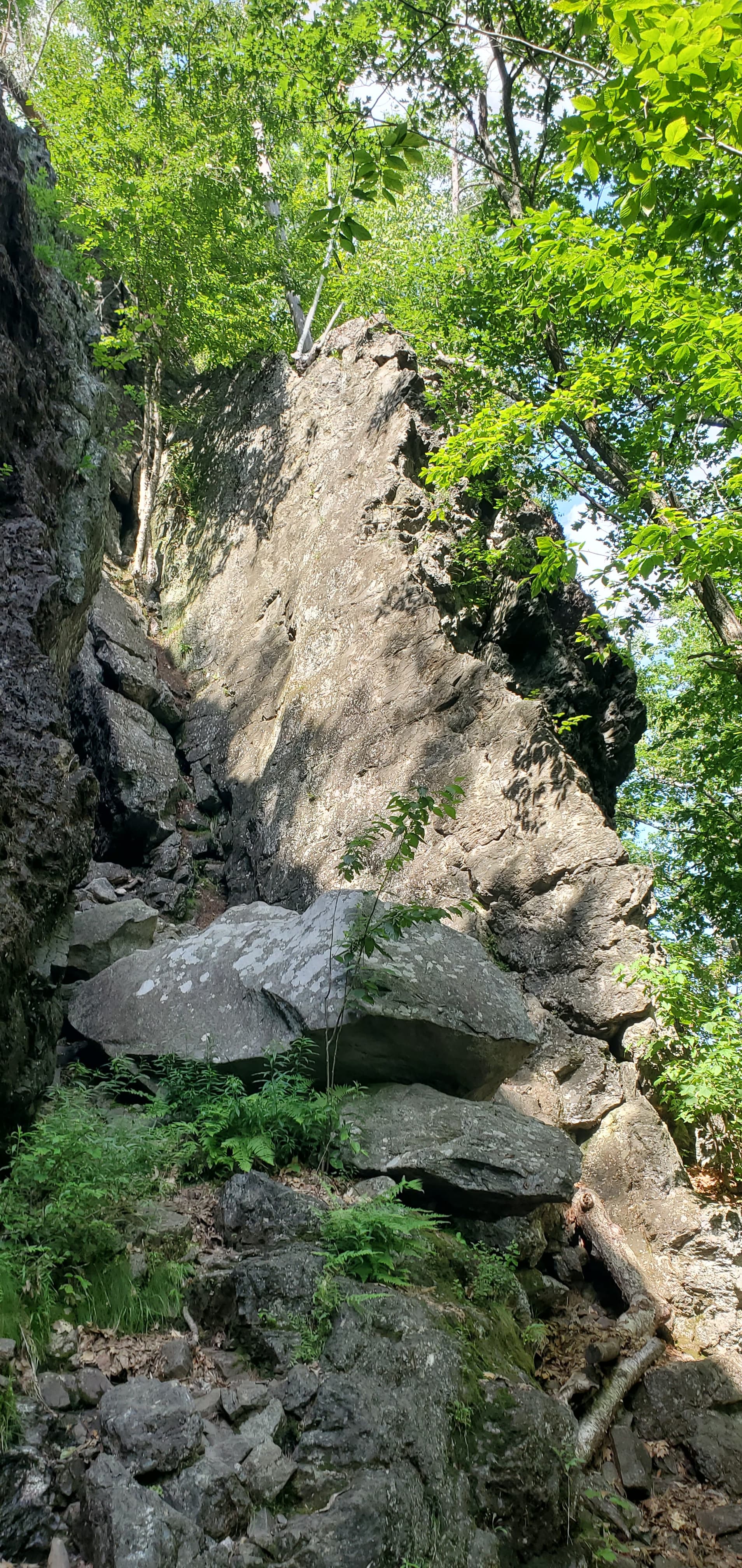 Photo of Venus Wall