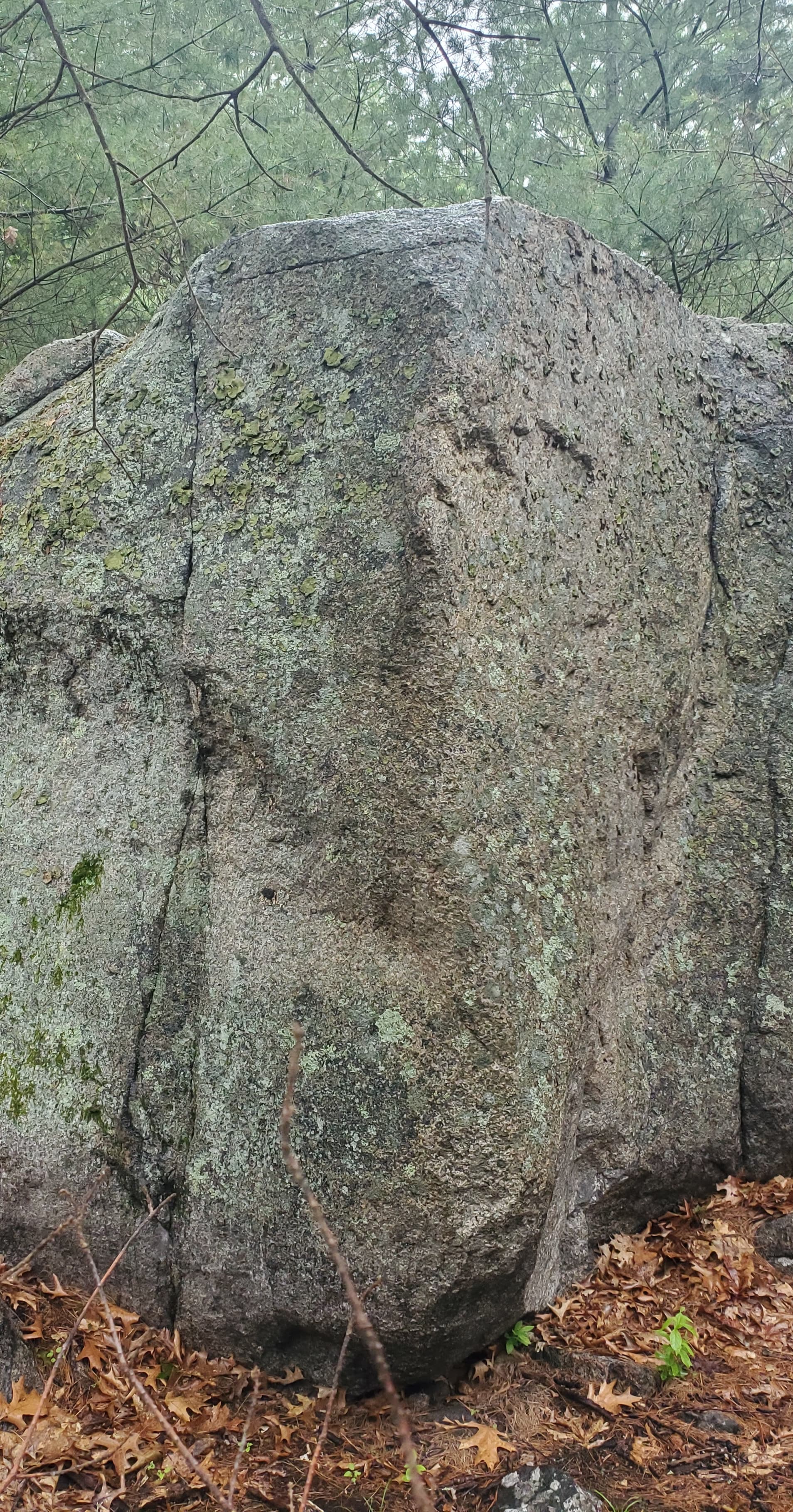 Photo of Toaster Boulder