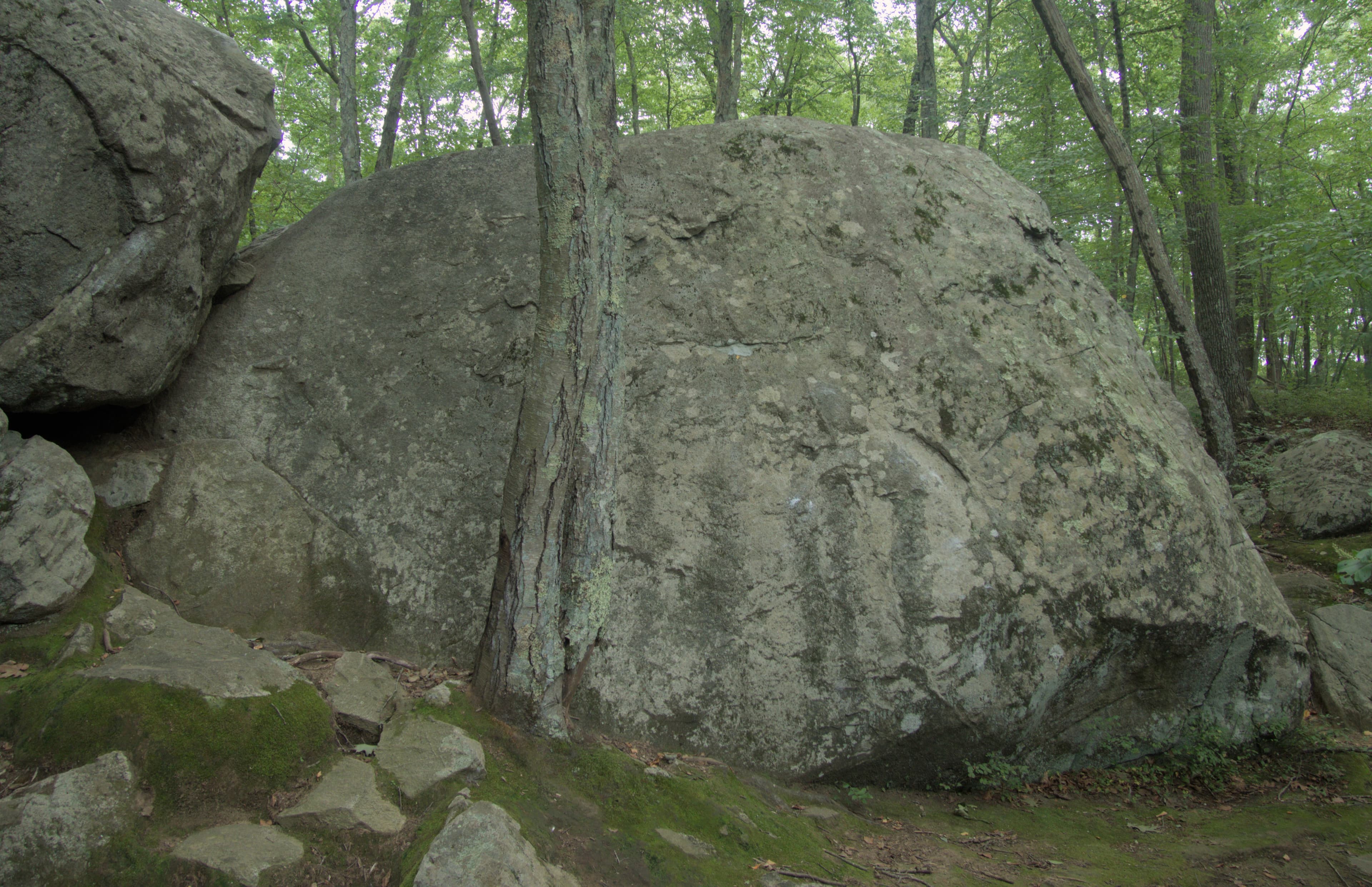 Photo of Great Slab / Wave Boulder