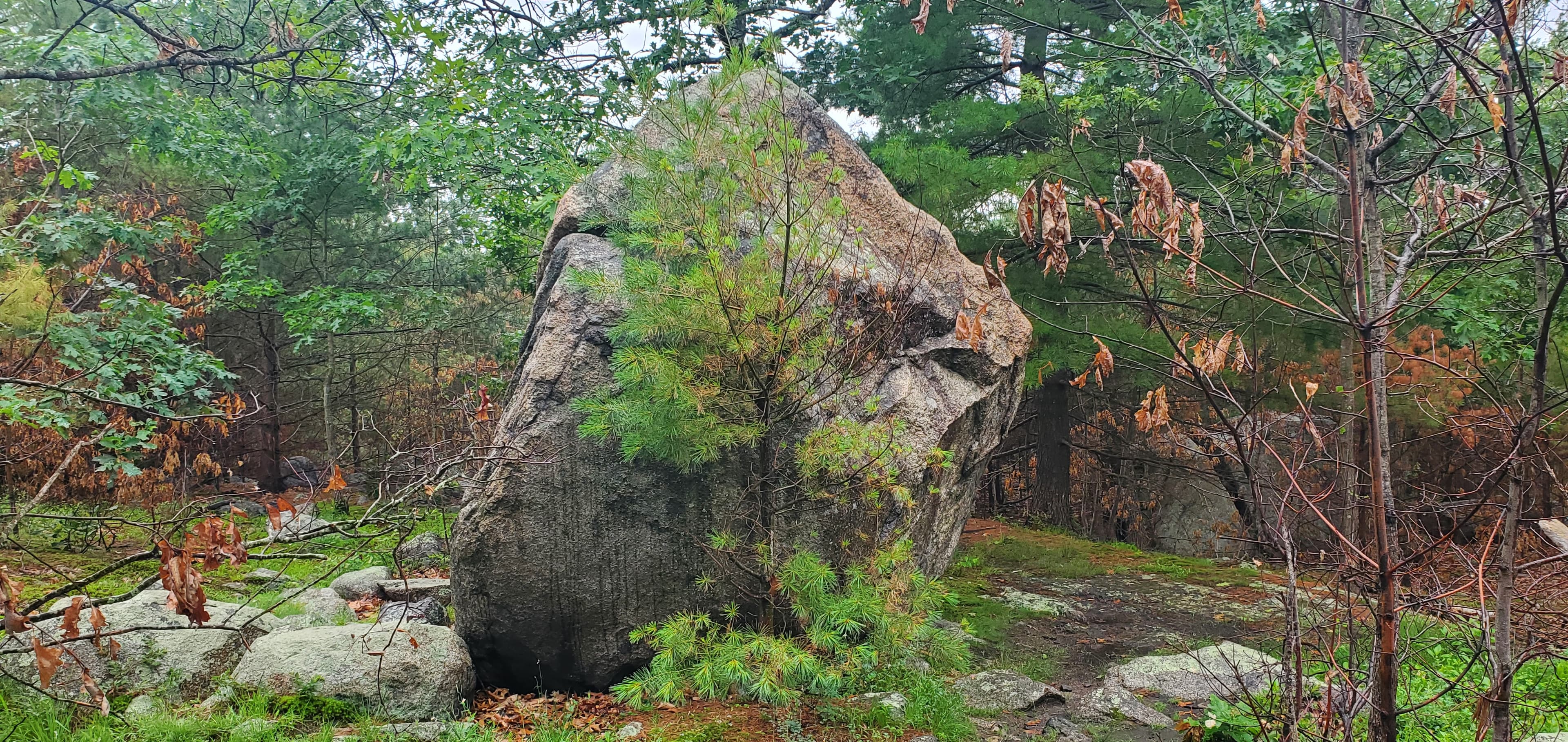 Photo of Toaster Boulder