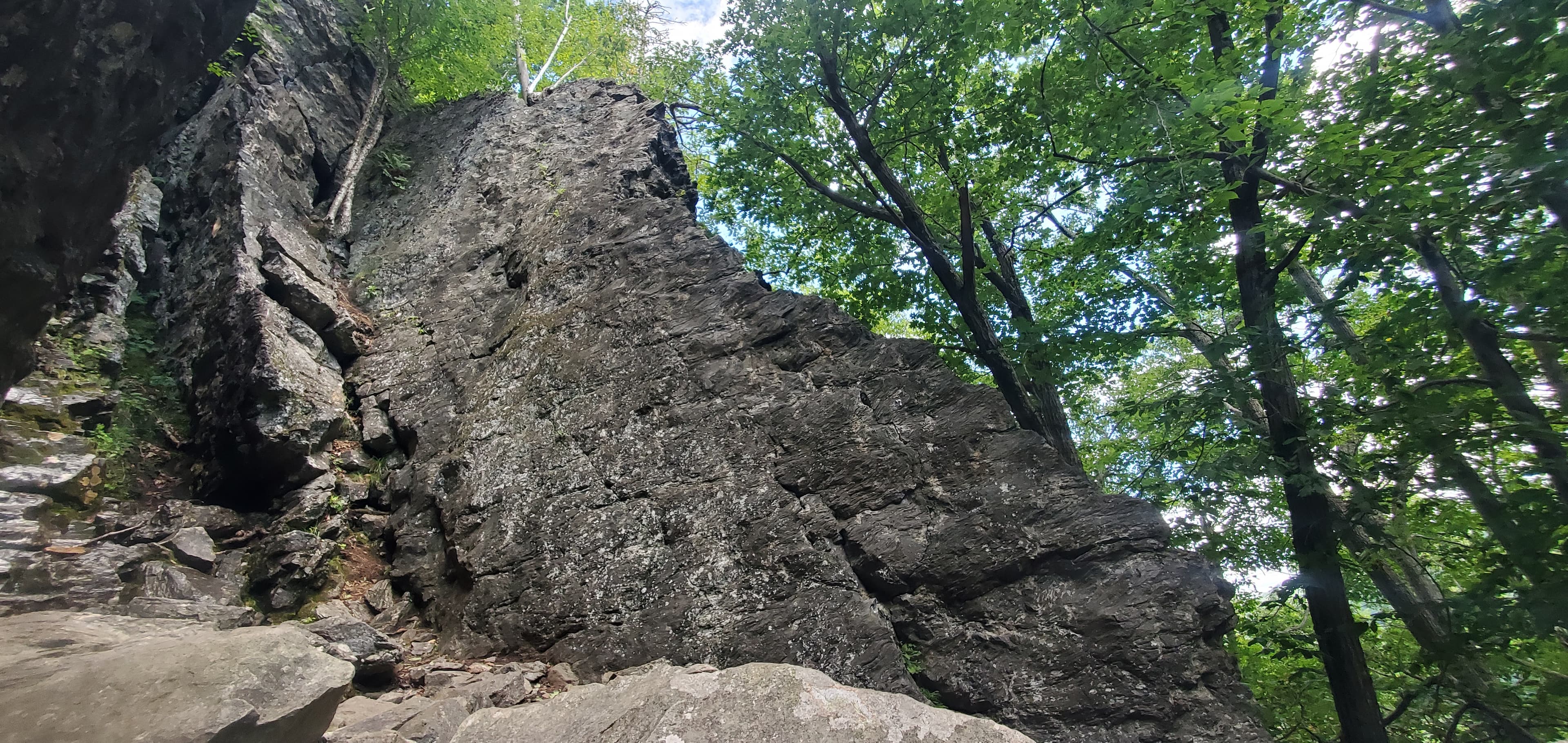 Photo of Venus Wall