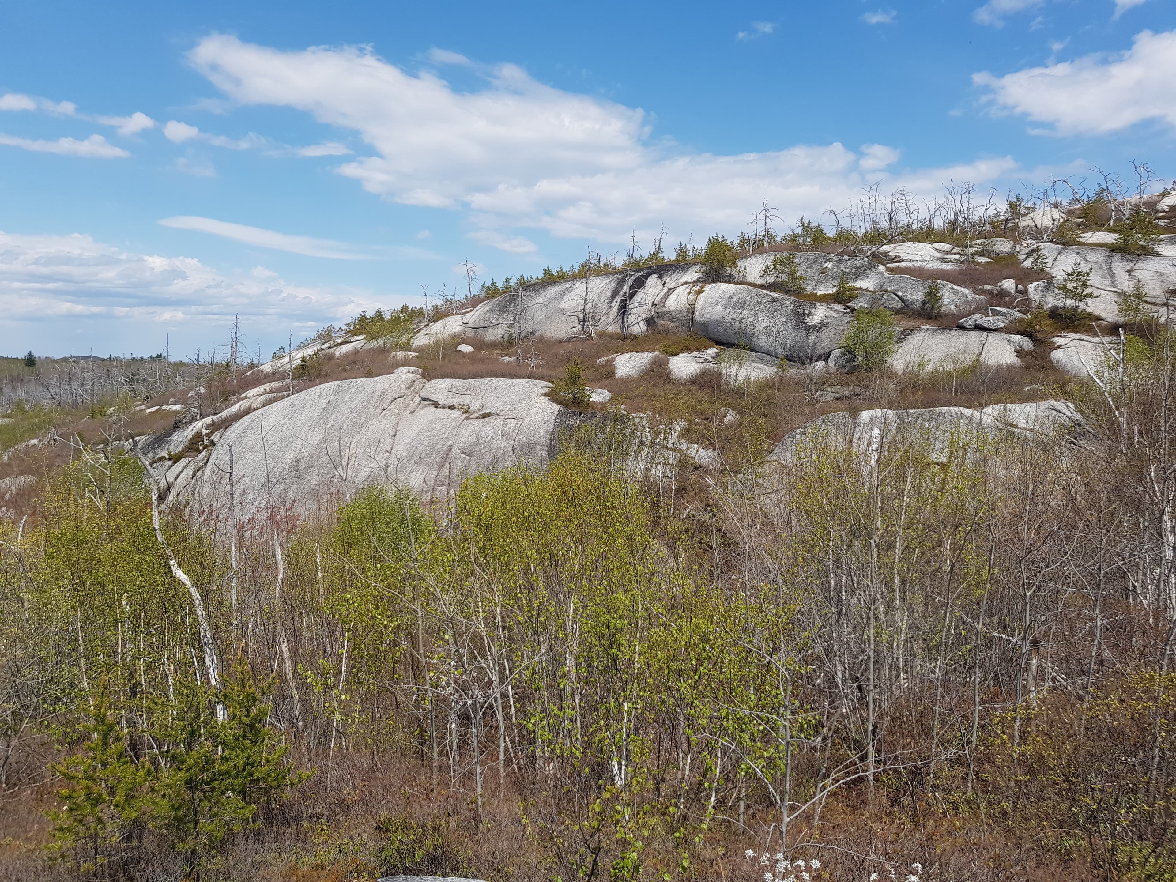 Photo of Halifax