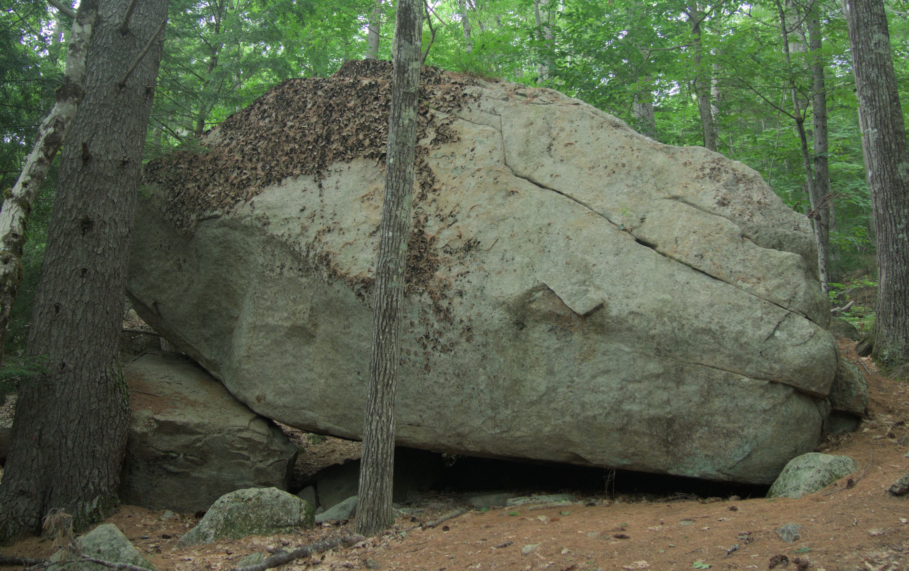 Photo of WM: Kancamagus (Eastern)