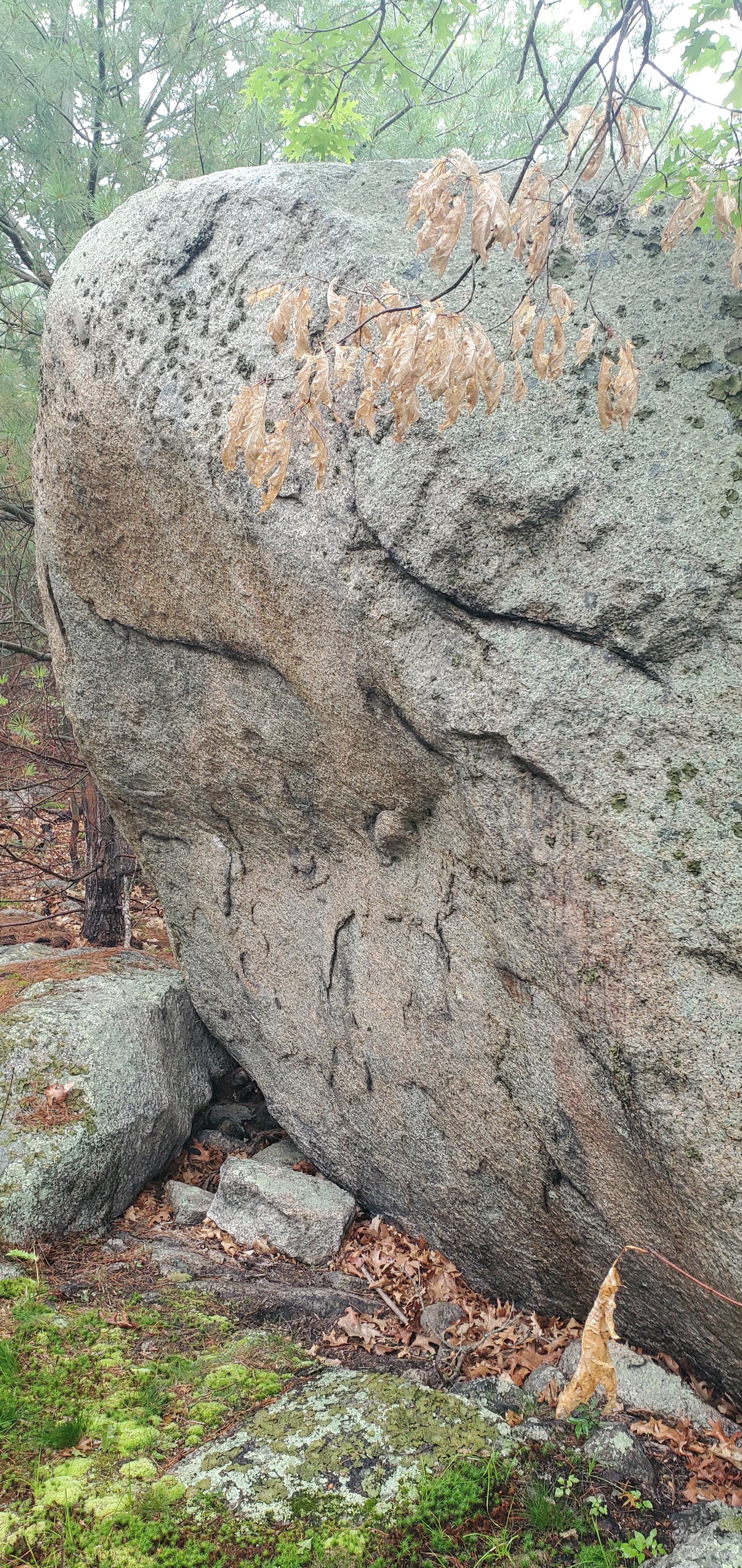 Photo of Trailside Boulder
