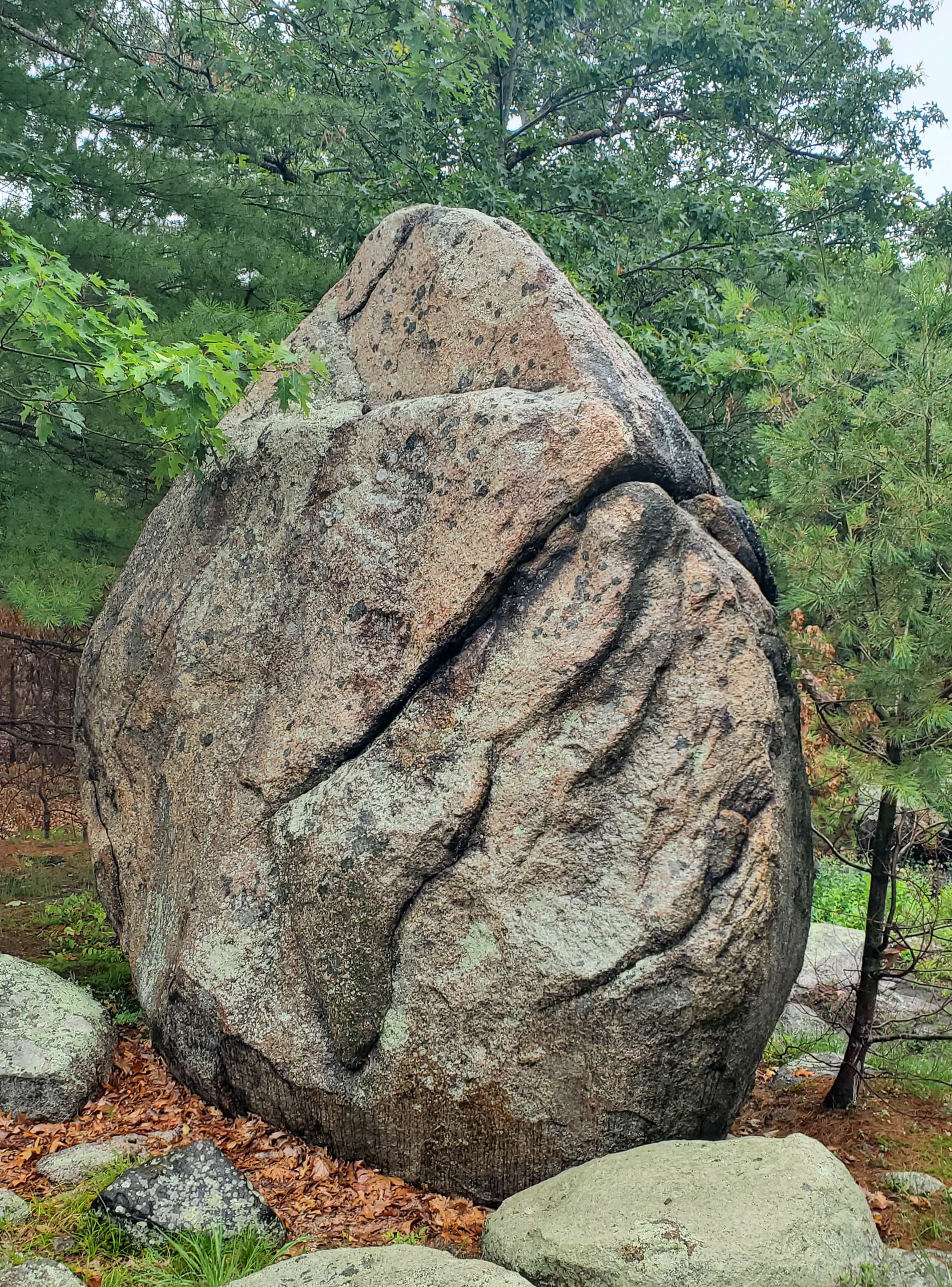 Photo of The Egg